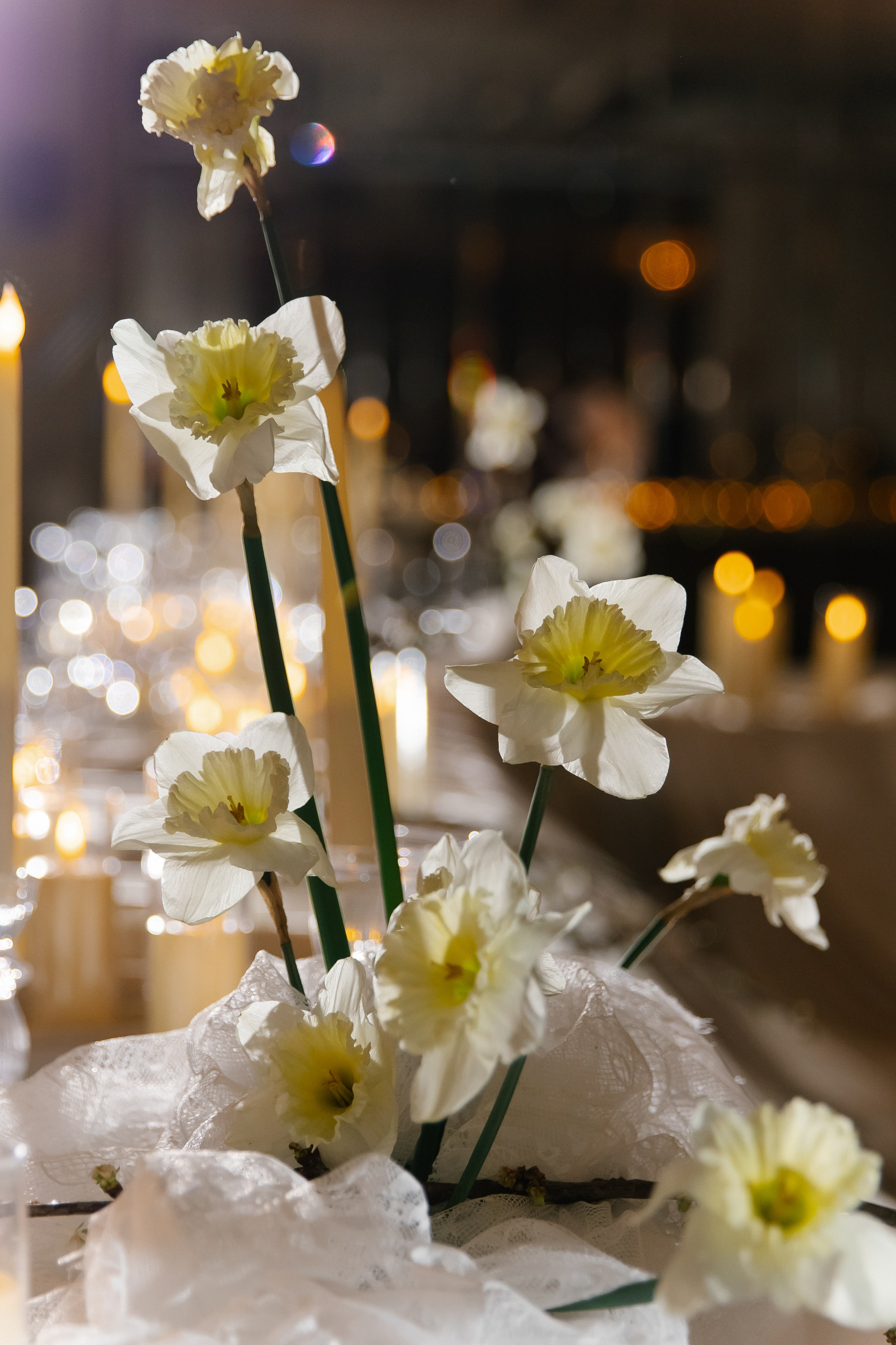 «И тьма была нежна, и свет её не нарушал». Фотограф Анастасия Романова Рязань