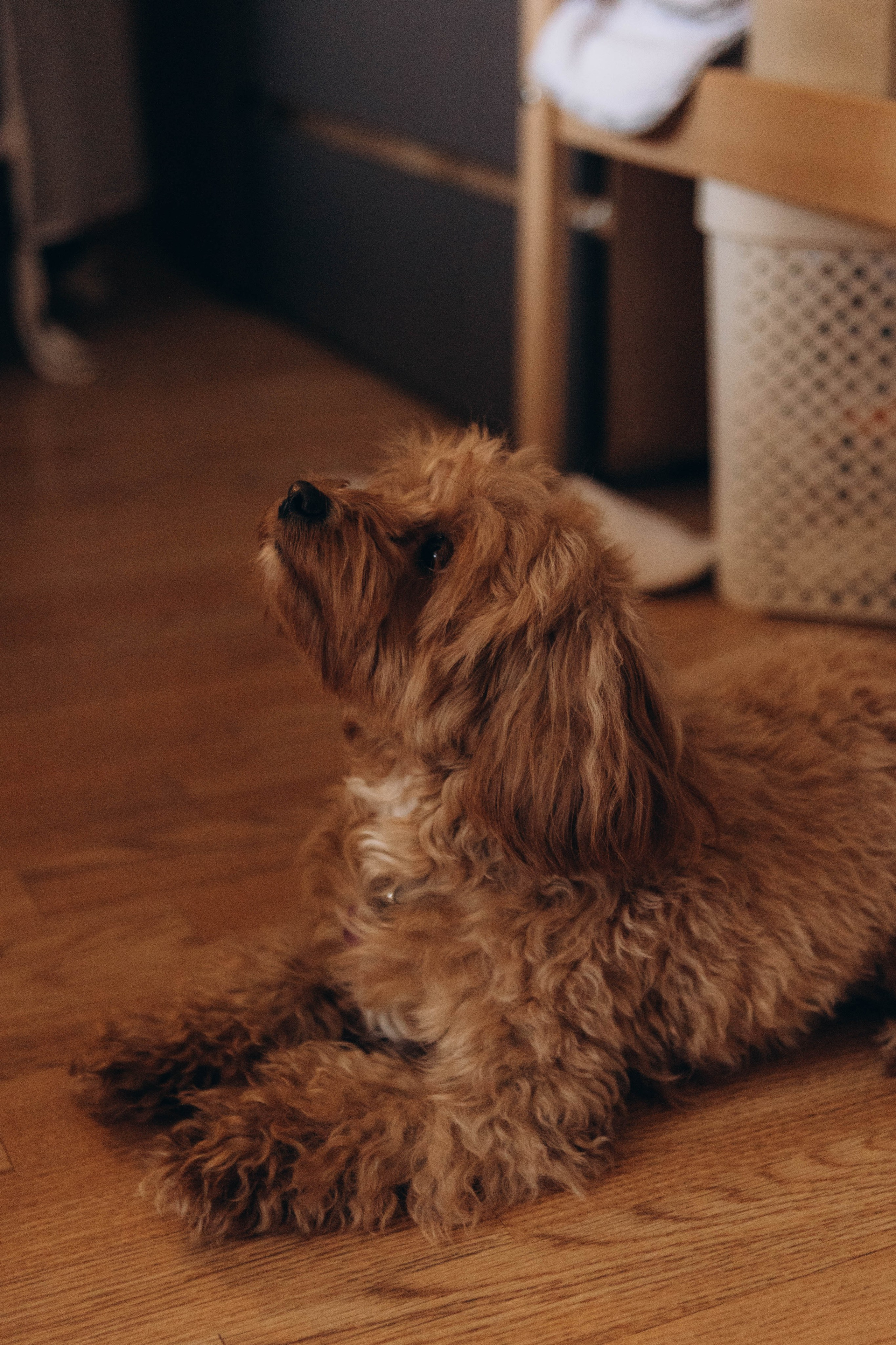 Георгий. Наталья Косьянова. Ваш фотограф. Москва