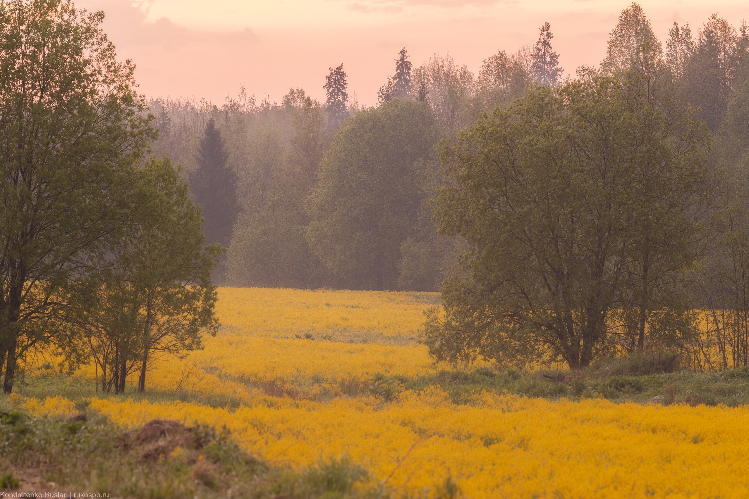 Ленинградская область. Архитектурный и пейзажный фотограф Кондратенко Руслан, Санкт-Петербург