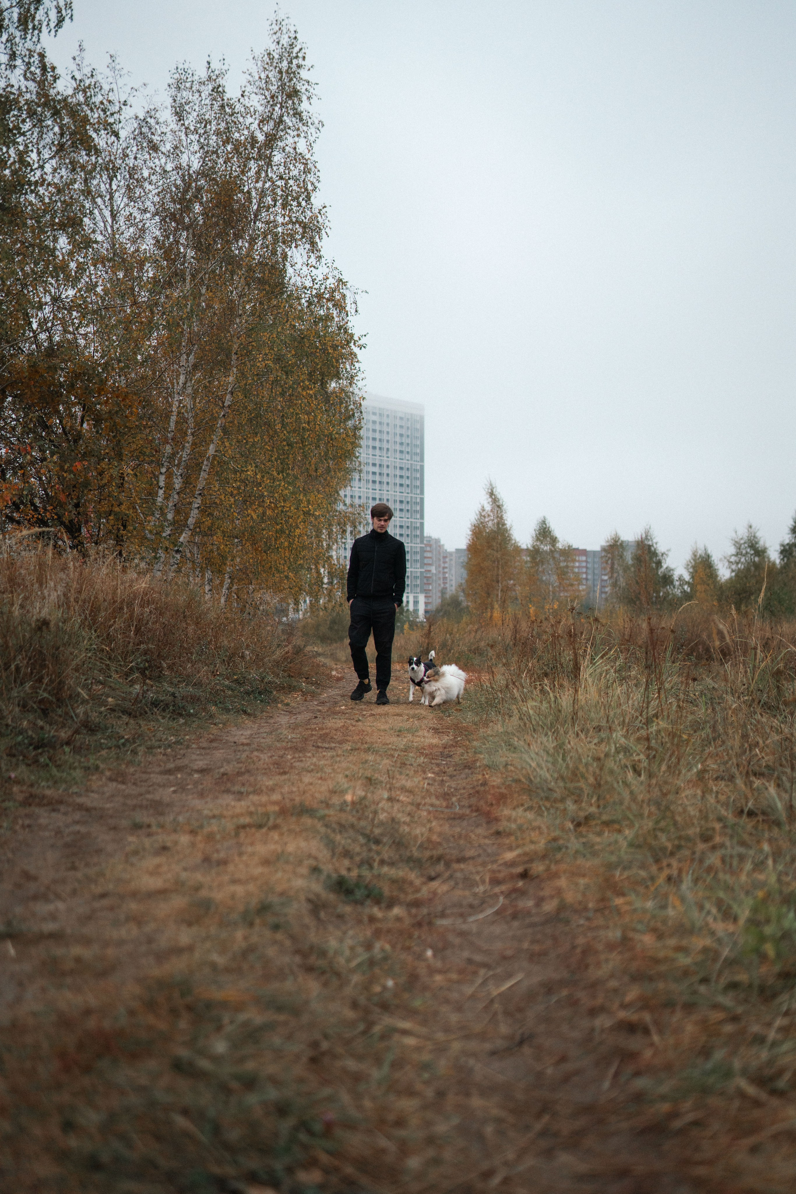 Фотосессия с собаками. Семейный фотограф в Рязани и Москве Victoria_Kros