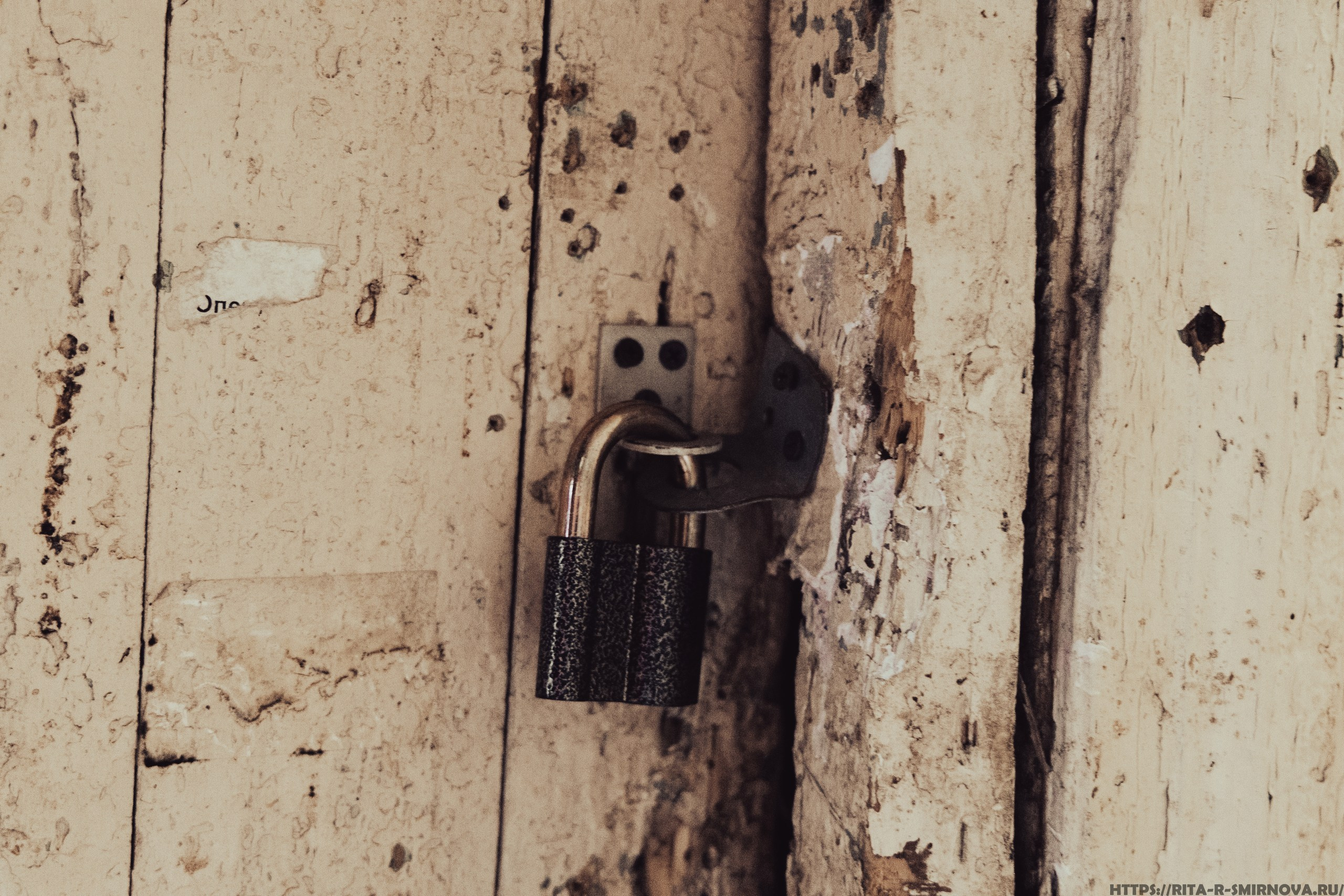 Назад в прошлое