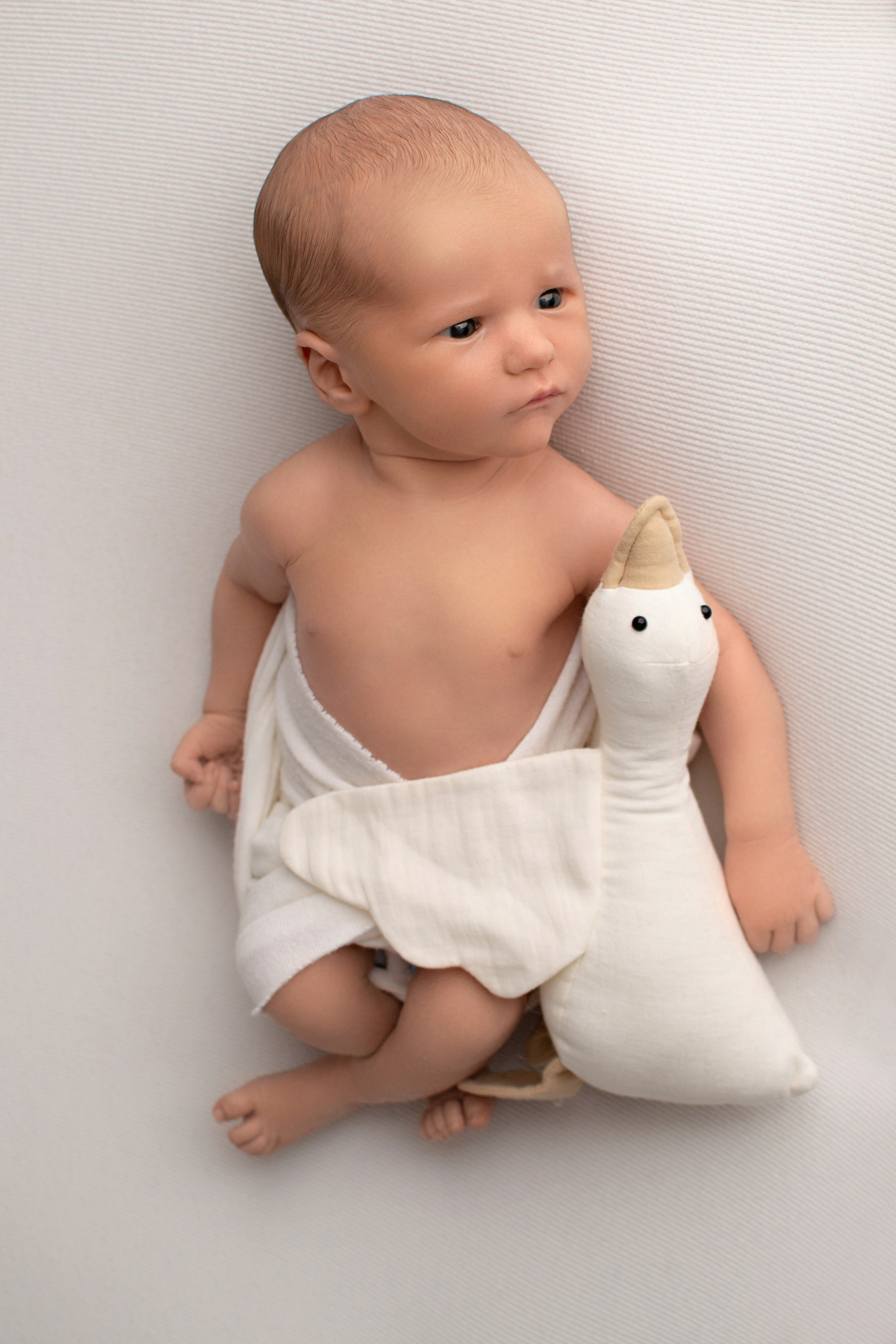 Фотосессия новорождённых. Фотограф новорождённых в Санкт-Петербурге Наталья Булгакова