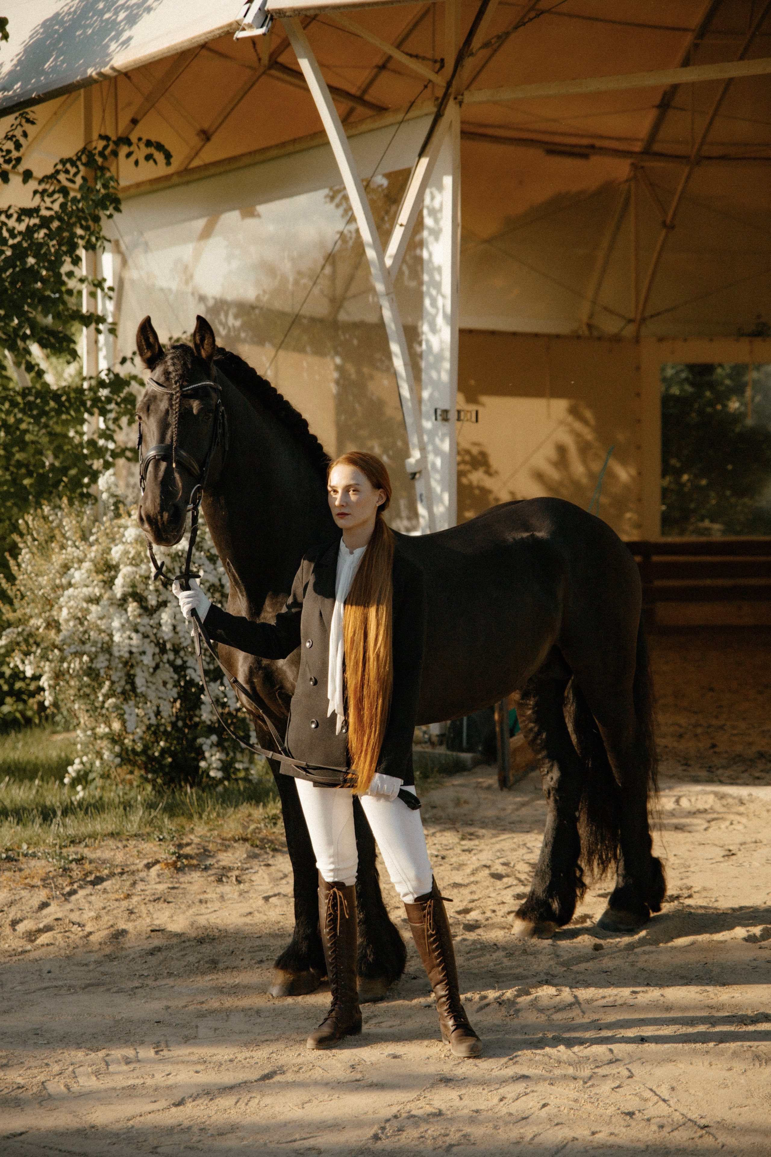 Съемка с лошадью фризской породы. Семейный и конный фотограф в Краснодарском крае и Адыгее