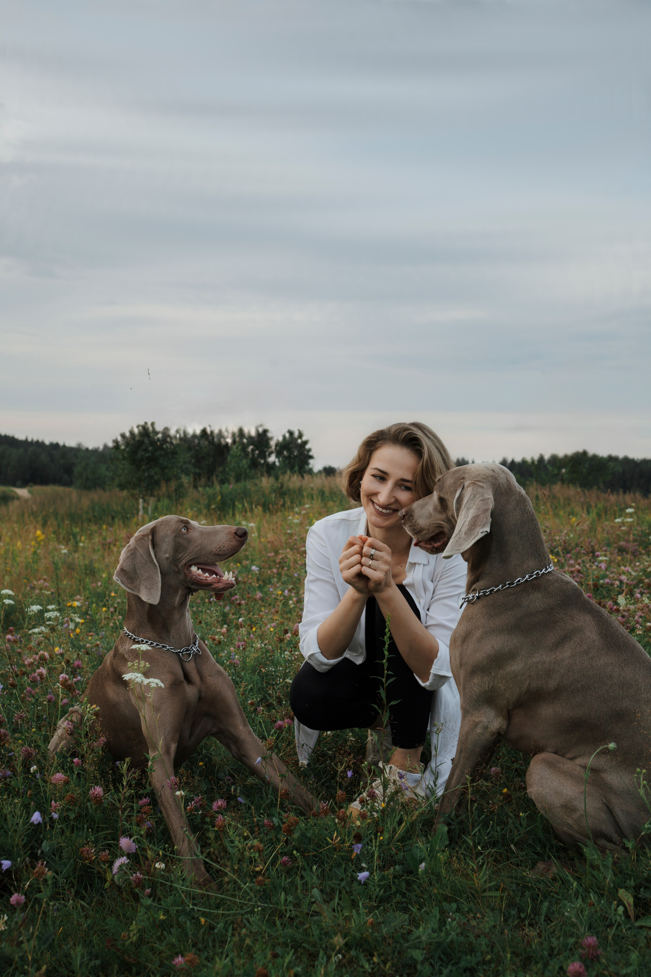 Маргарита и веймаранеры. Фотограф-анималист в Санкт-Петеребурге Титова Алиса