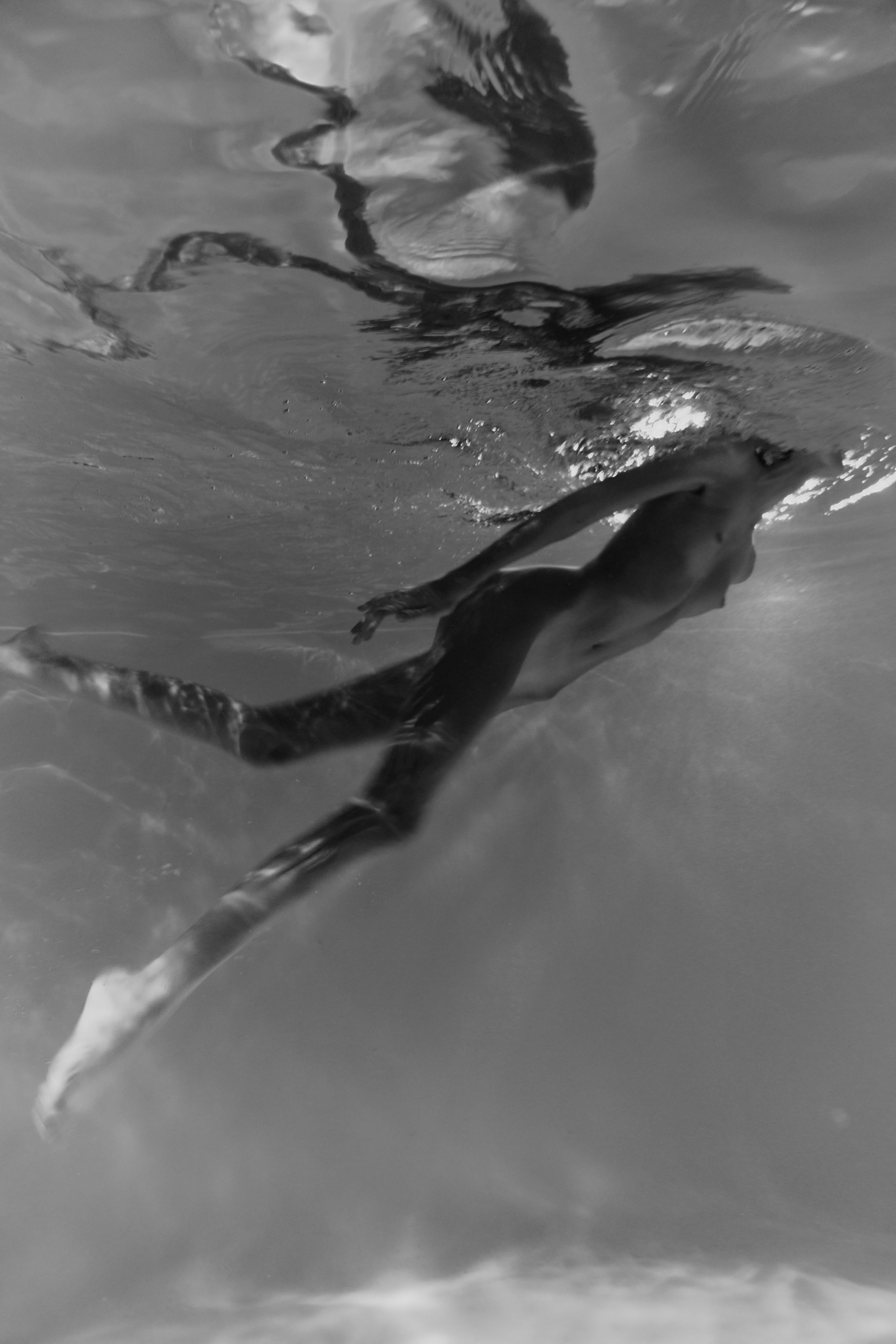 Mermaids. Z H U R A V L E V