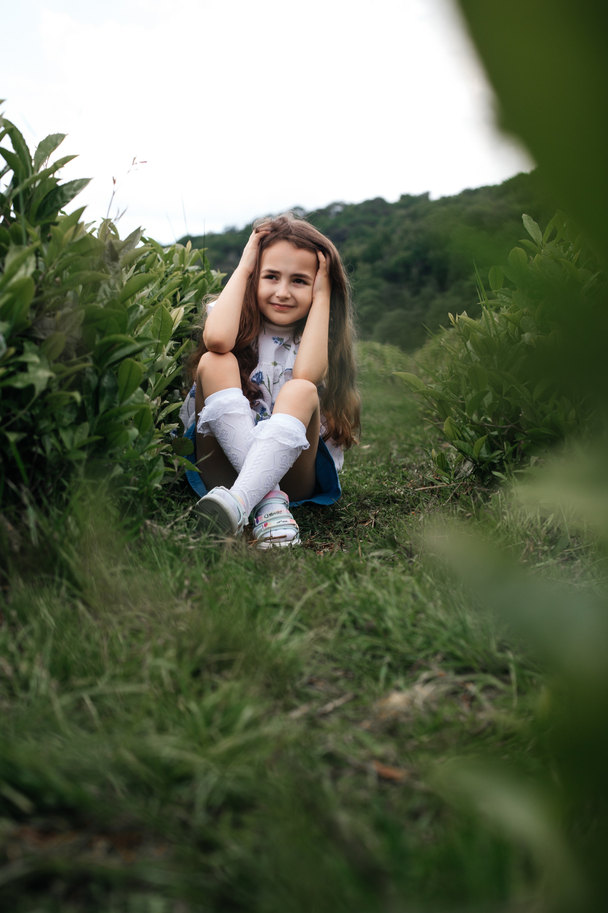 Tea plantation. Efimova Model Agency