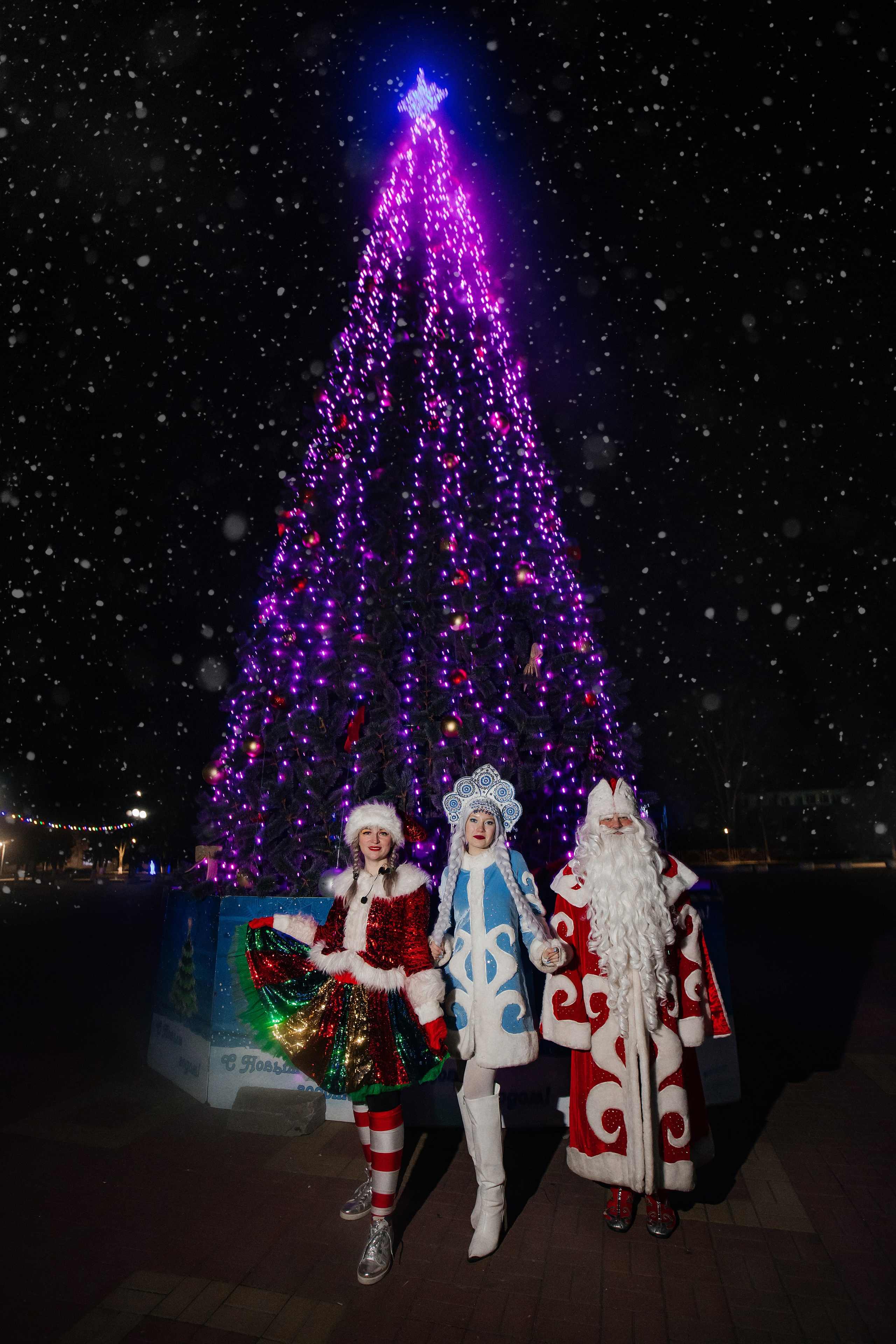 Моробус с Кульбит. Екатерина Ярковая фотограф