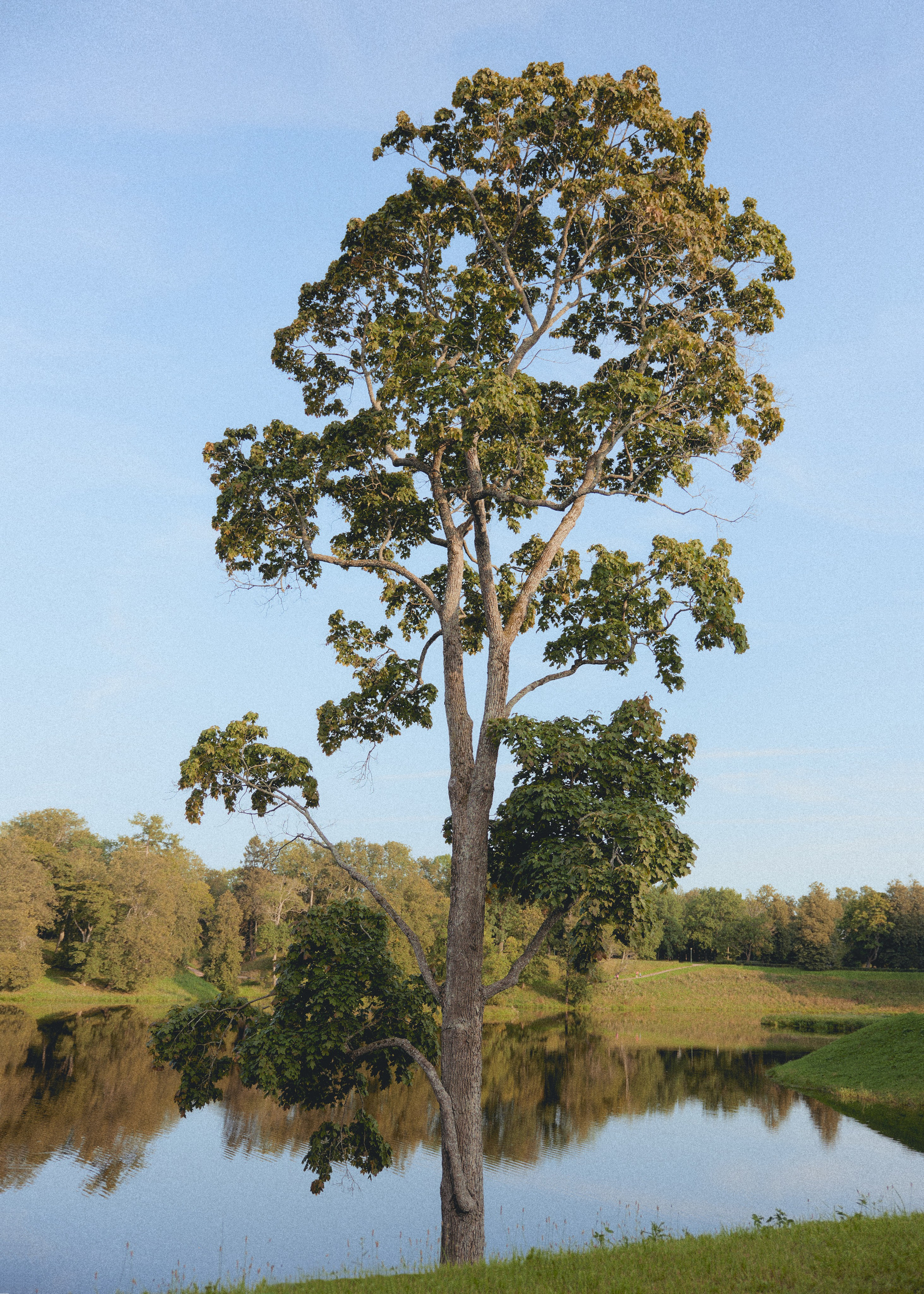 VERAVENERA. Darya Abramova photographer