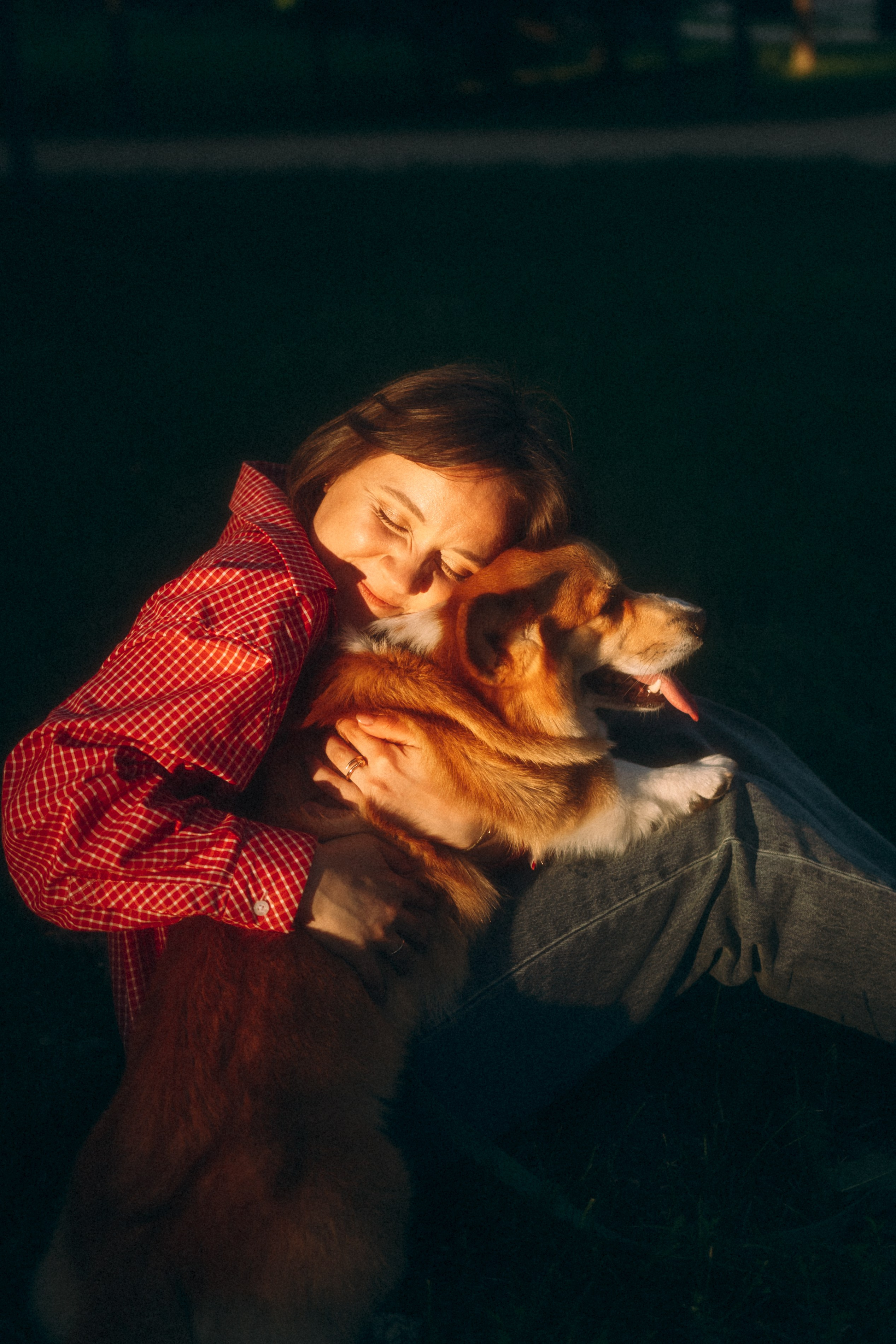 Момо, Люда и Эд. Фотограф анималист Анастасия Пикей