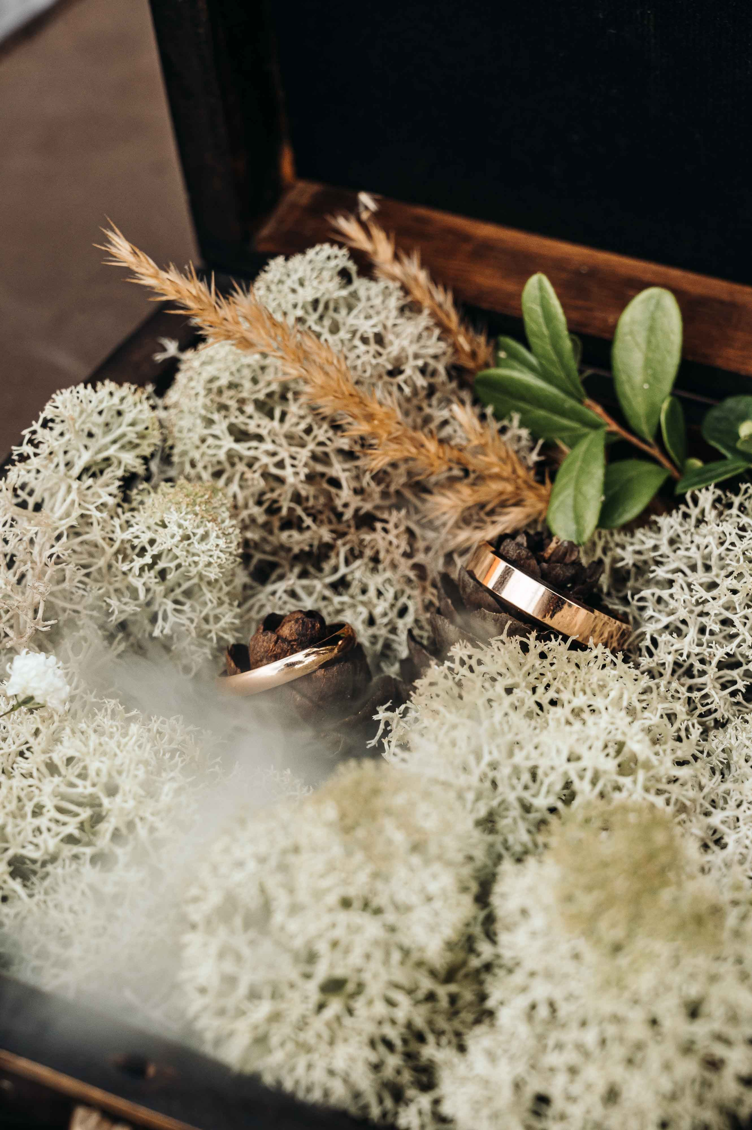 Свадебная фотосессия и прогулка на свежем воздухе. Свадебный и семейный фотограф в Котласе Никита Попов