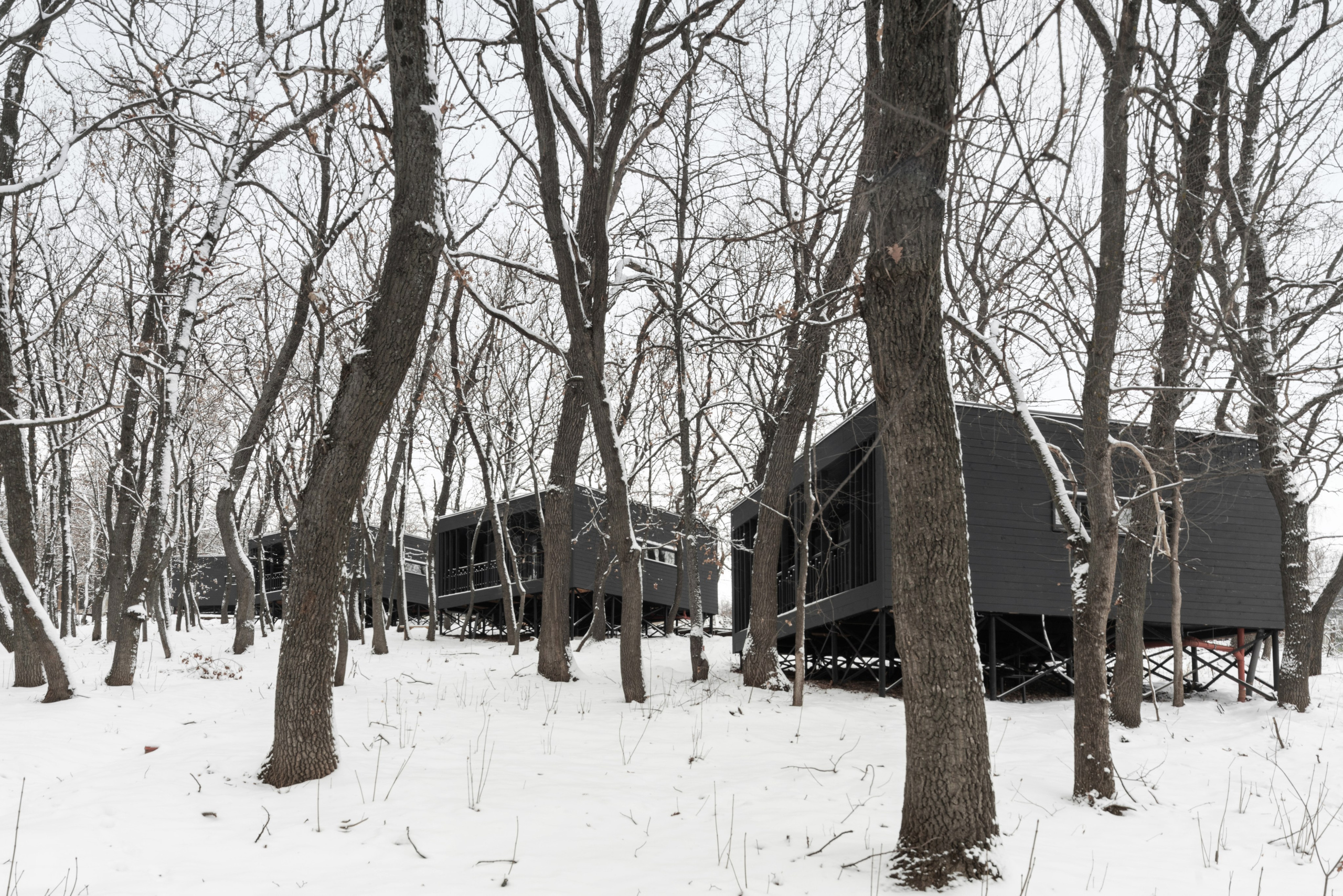 ХОЛМ. SAAS Селиванов Алексей Архитектурная Студия