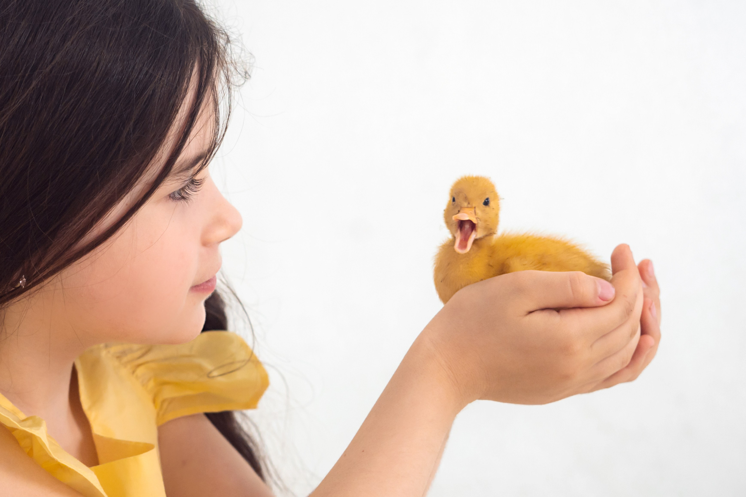 Пасхальная съемка с уточками. Мила Посвит Фотограф новорожденных в Тобольске