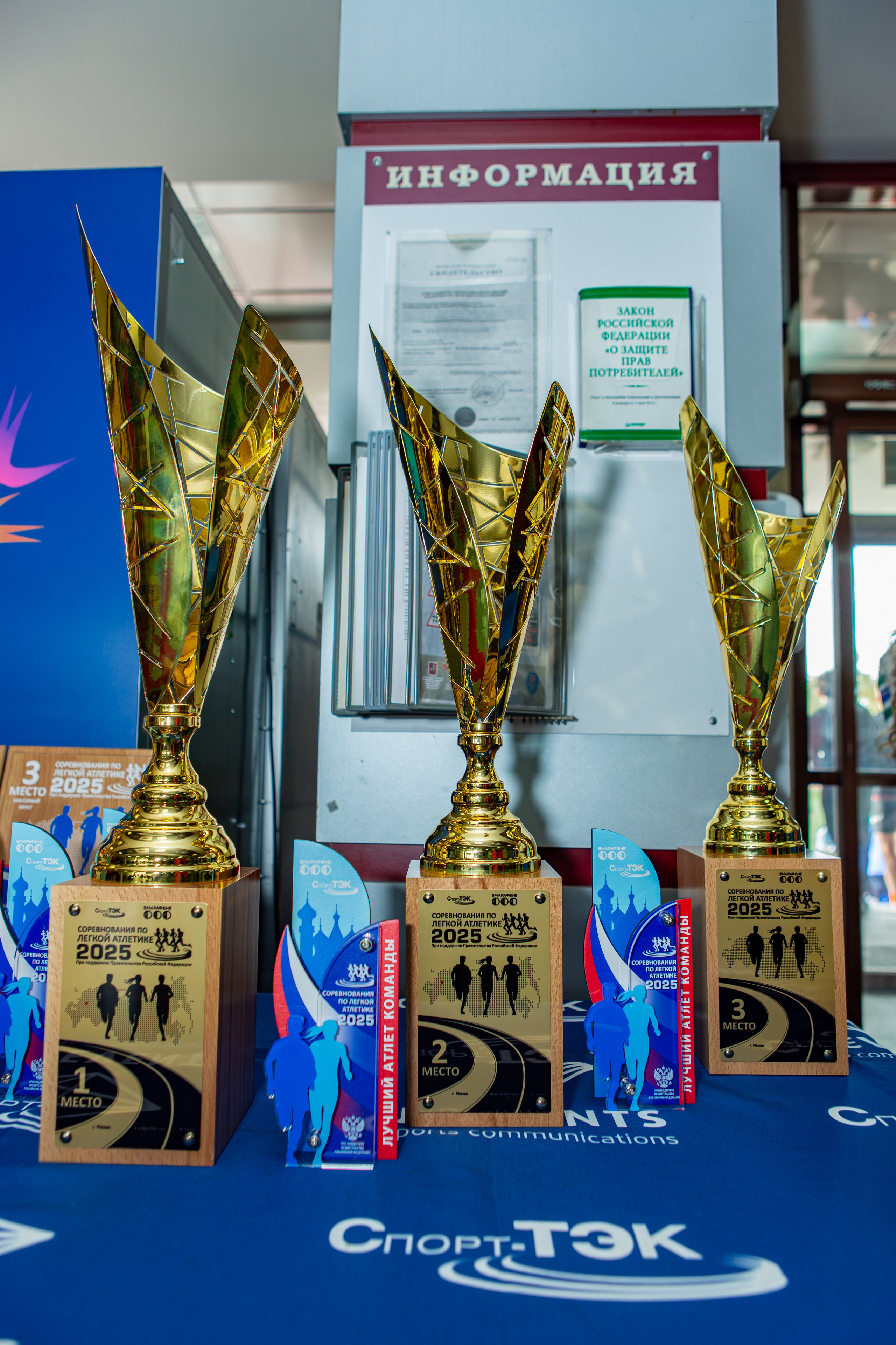 Соревнования по легкой атлетике. Репортажный, семейный, свадебный, портретный фотограф