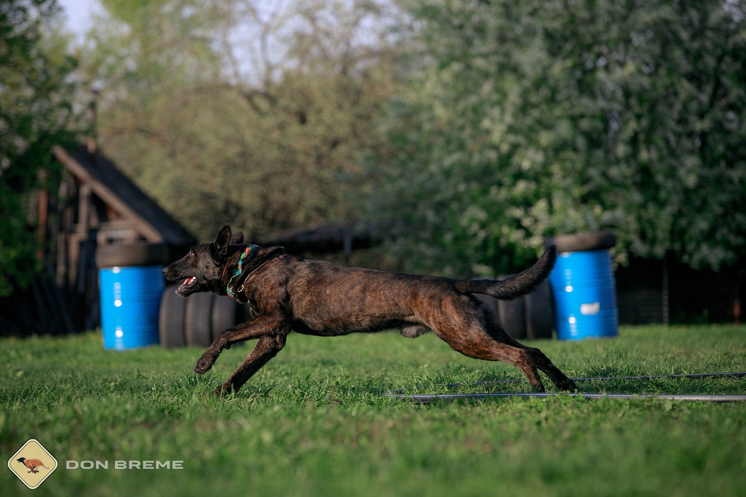 Семинар для фигурантов, день 4. Фотограф-анималист Mary Mart — Москва, Питер