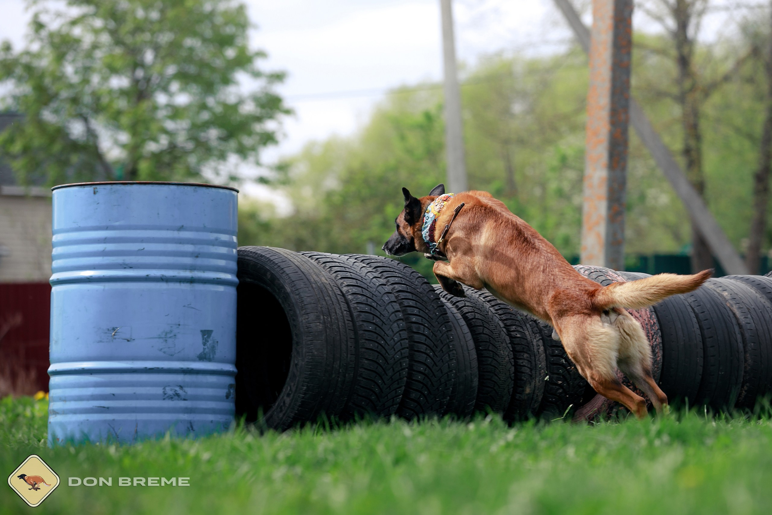 Семинар для фигурантов, день 2. Фотограф-анималист Mary Mart — Москва, Питер