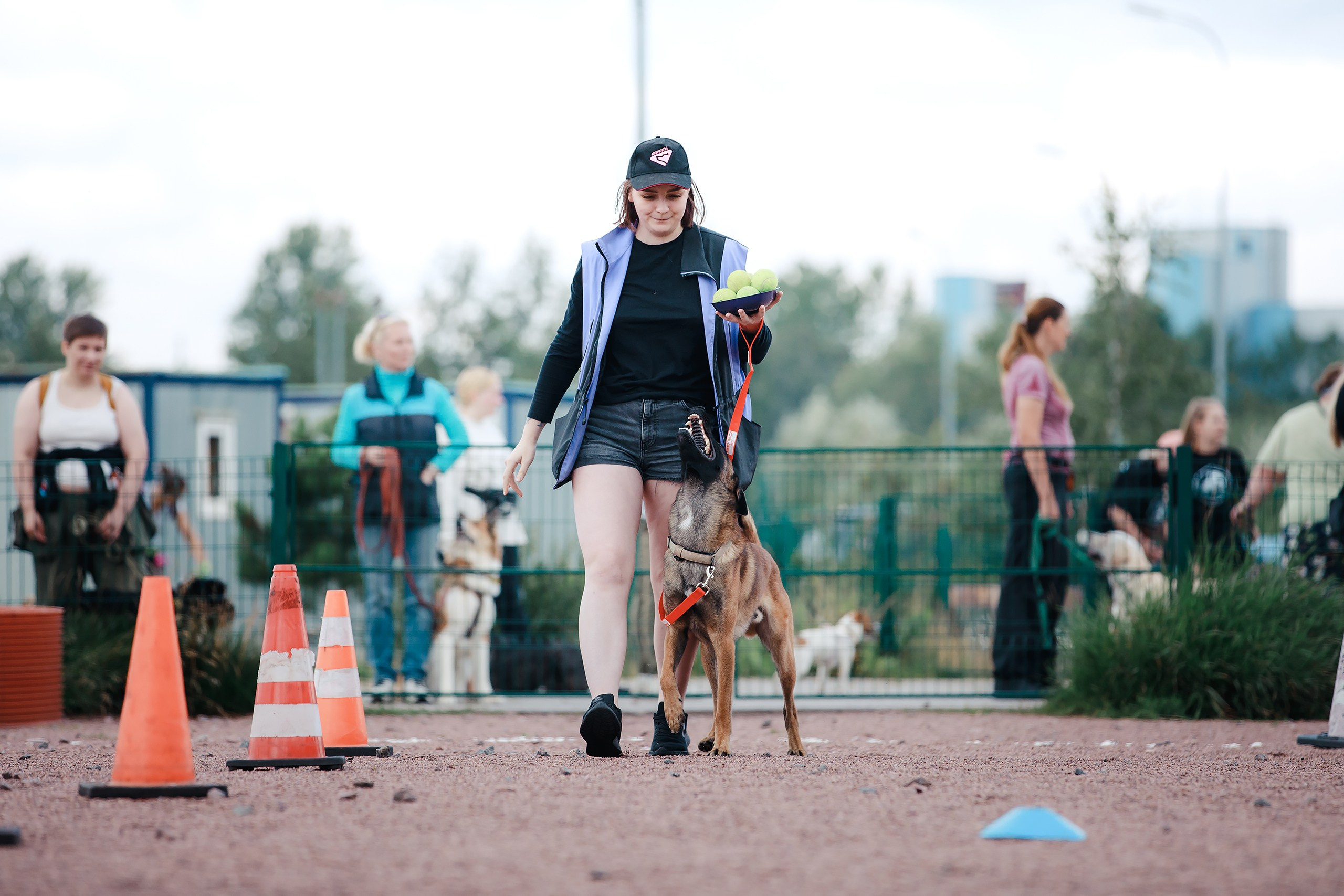 Питч&Гоу + веселые старты. Фотограф-анималист Mary Mart — Москва, Питер
