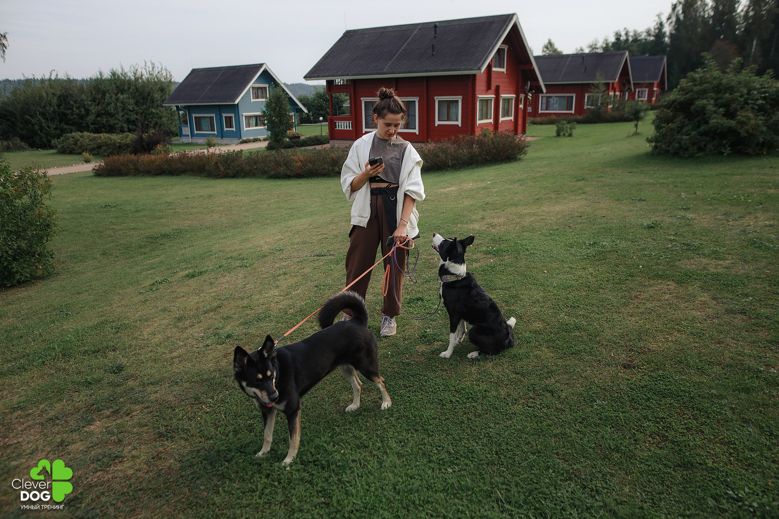 Кинологический лагерь CleverDog, 2024. Фотограф-анималист Mary Mart — Москва, Питер