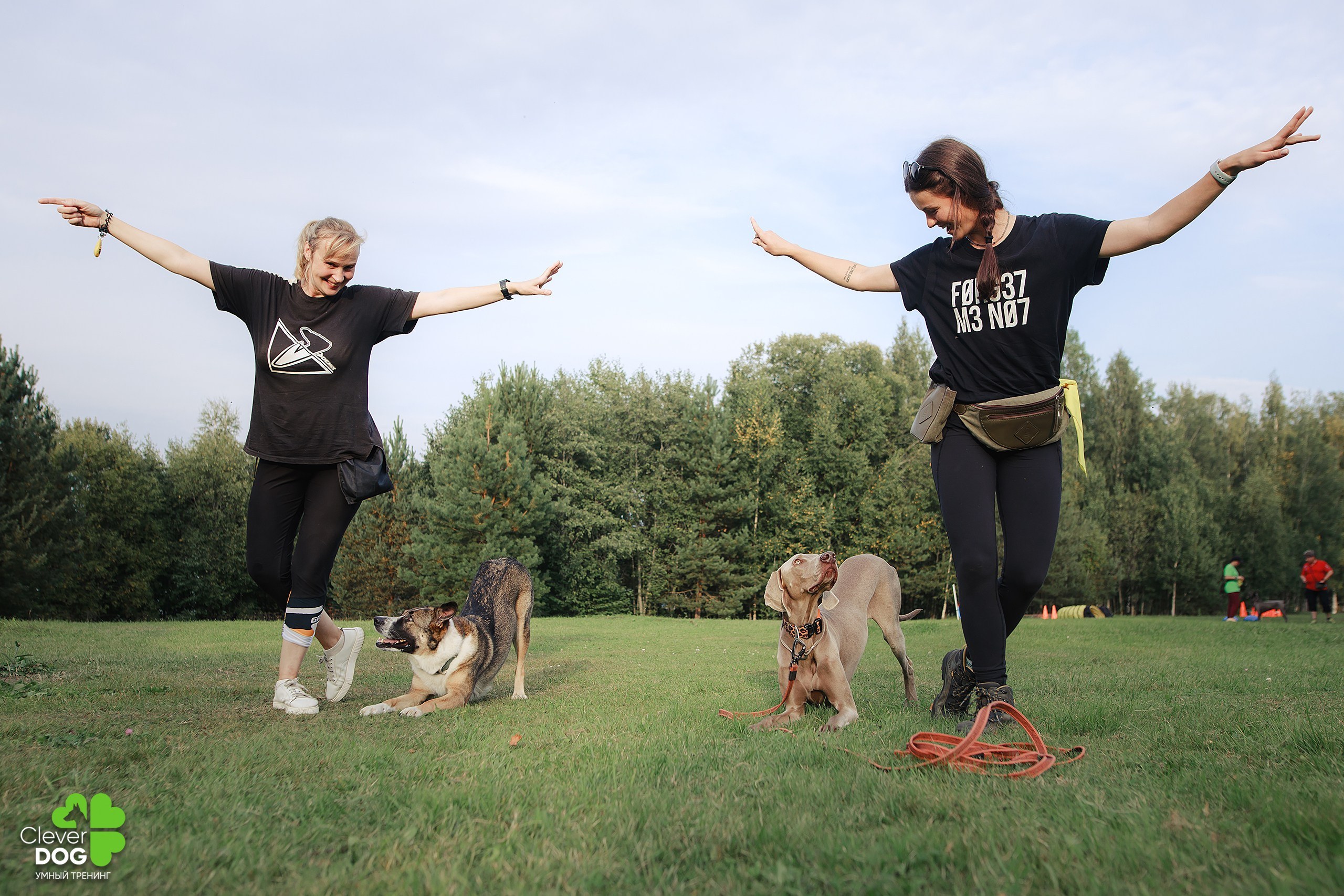 Кинологический лагерь CleverDog, 2024. Фотограф-анималист Mary Mart — Москва, Питер