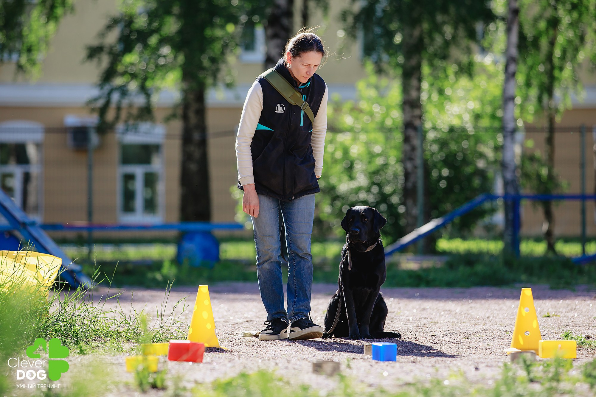 Семинар по поиску запаха с Иваном Ломовым, организатор CleverDog, СПб. Фотограф-анималист Mary Mart — Москва, Питер