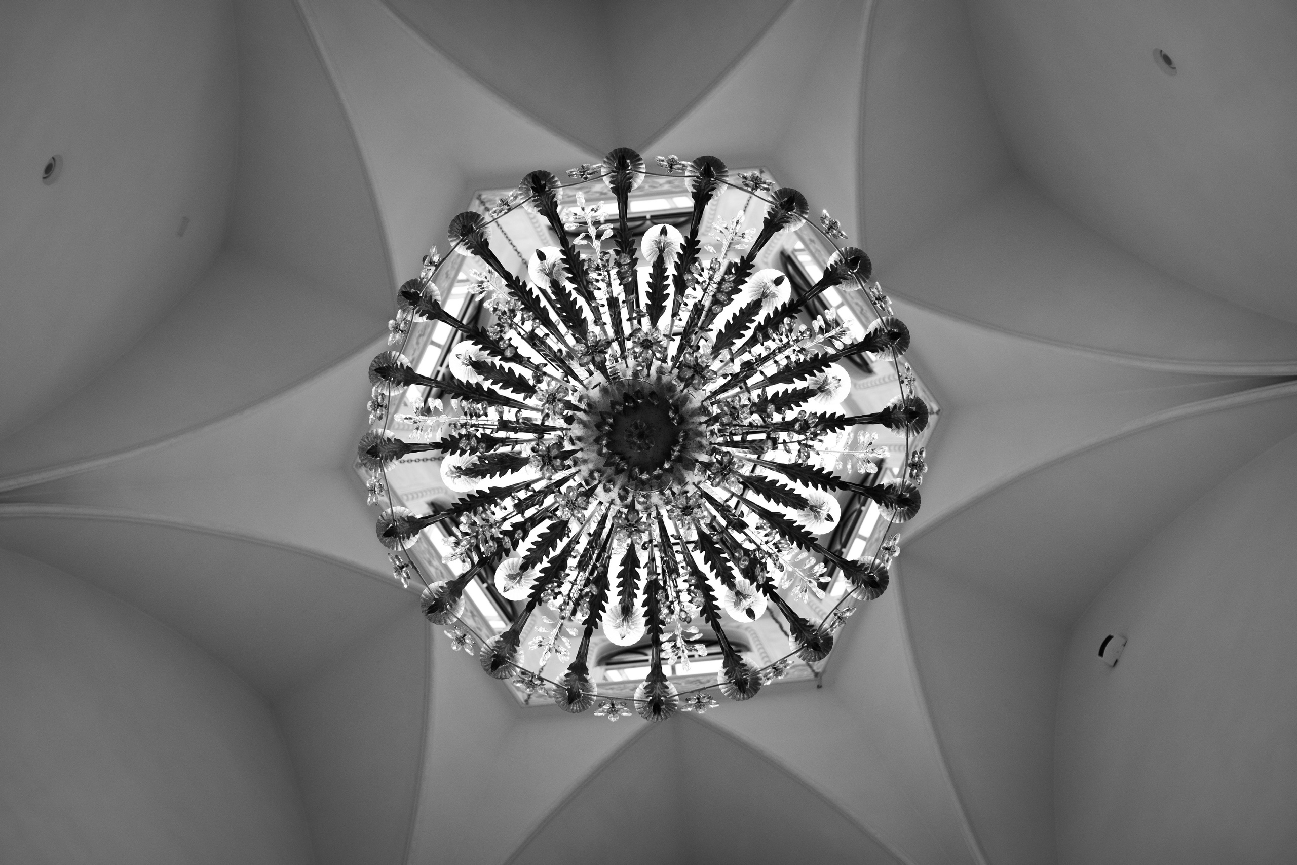 Юбилей Светланы (6 часов). Семейный и детский фотограф в Москве Дорогова Екатерина