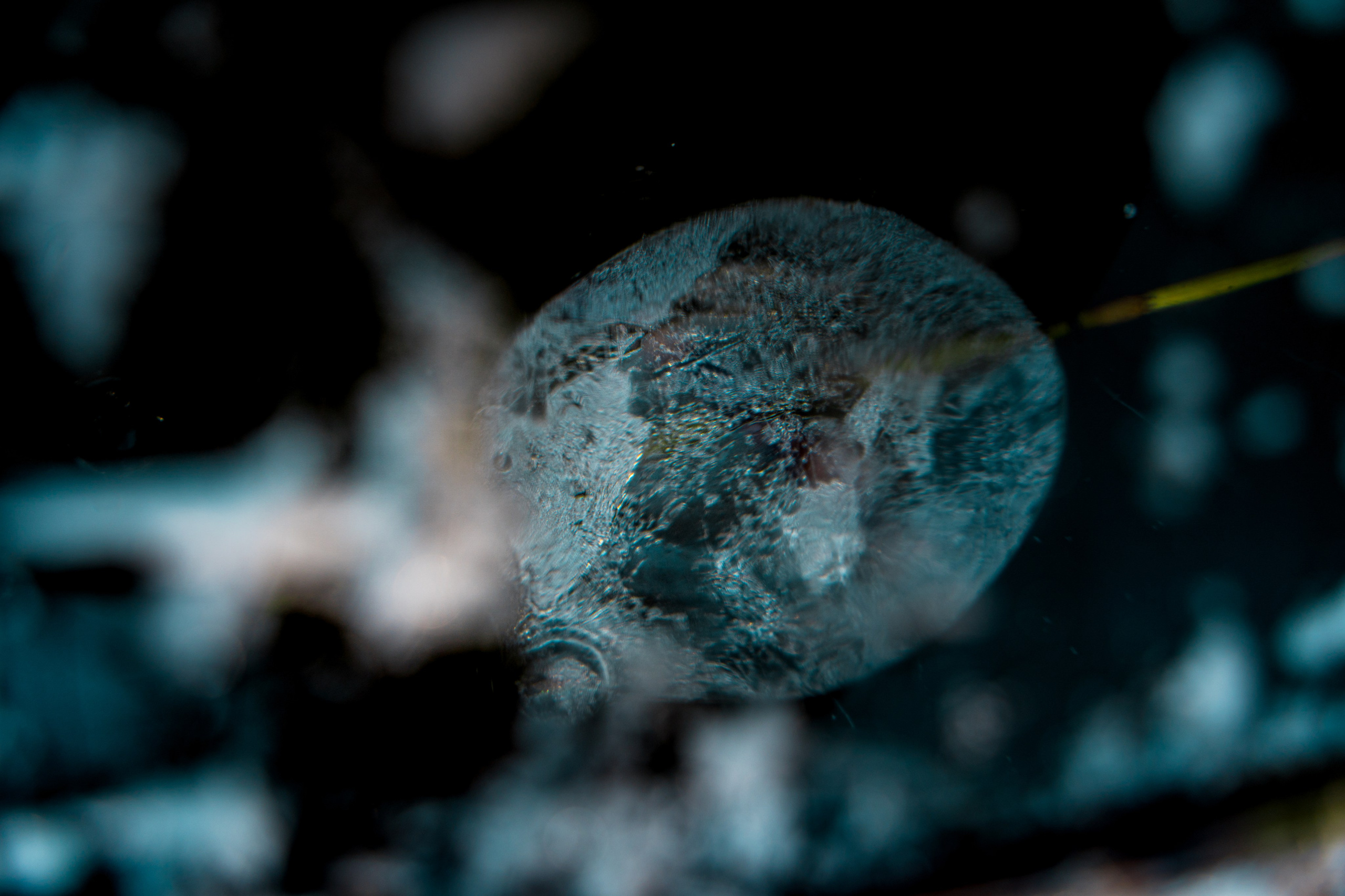 Пища для глаз. Ваш фотограф Северск | Томск