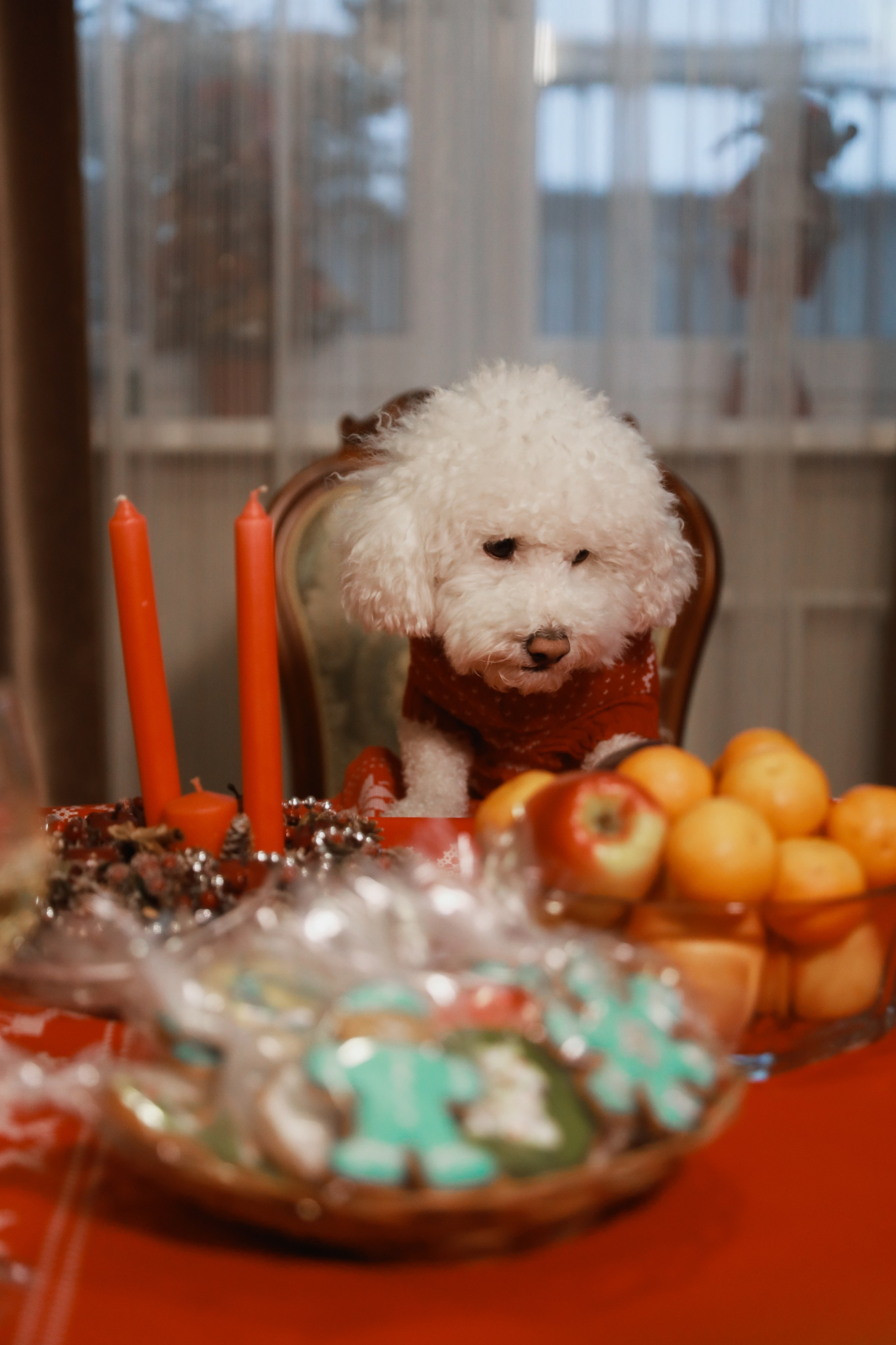 Под Новый год. Семейный и свадебный фотограф Лилия Матонина | Ангарск, Иркутск, Усолье-Сибирское, Байкал (Листвянка, Ольхон), Иркутская область