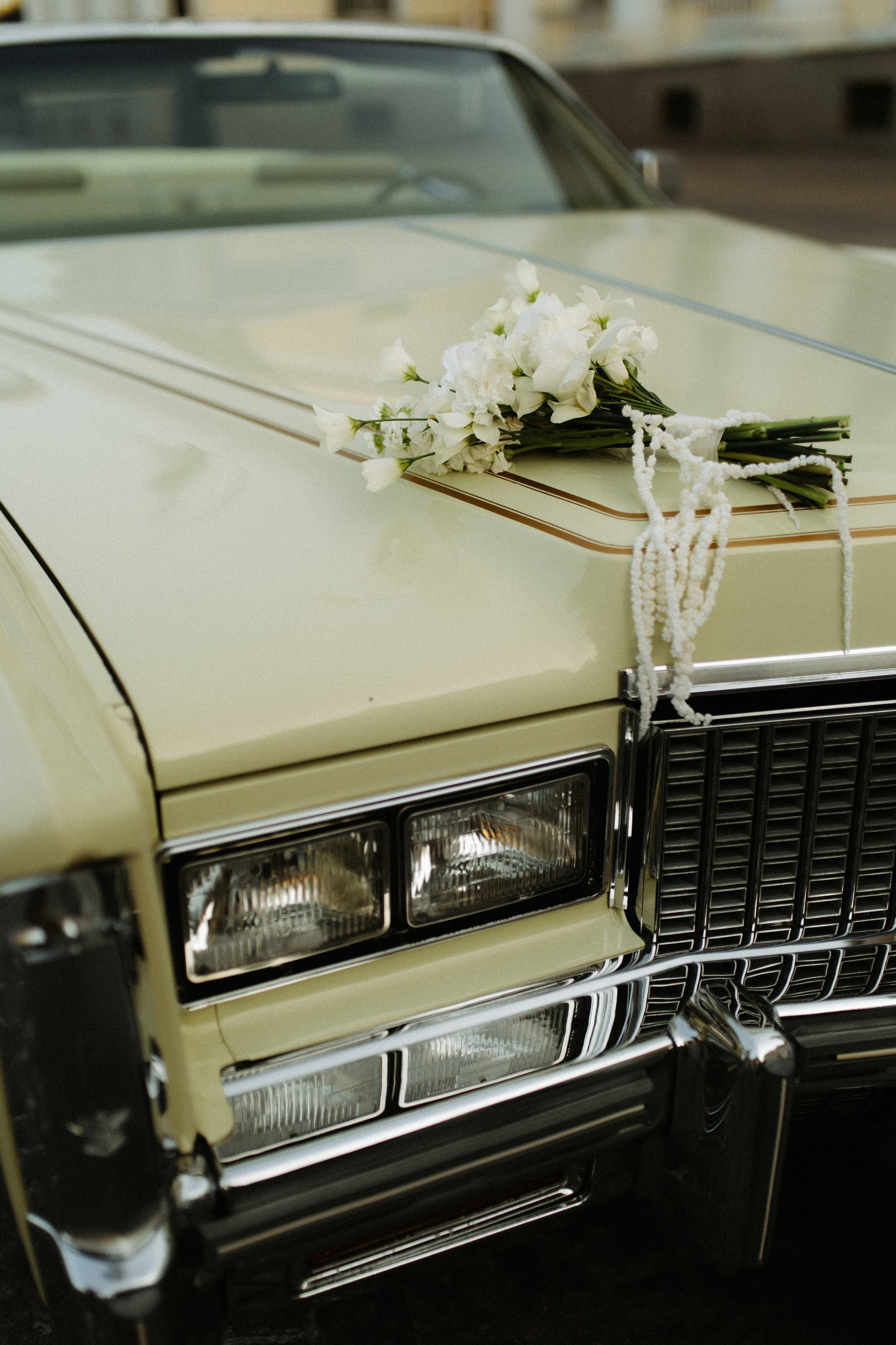 Данила и Вероника. Фотограф в Санкт-Петербурге