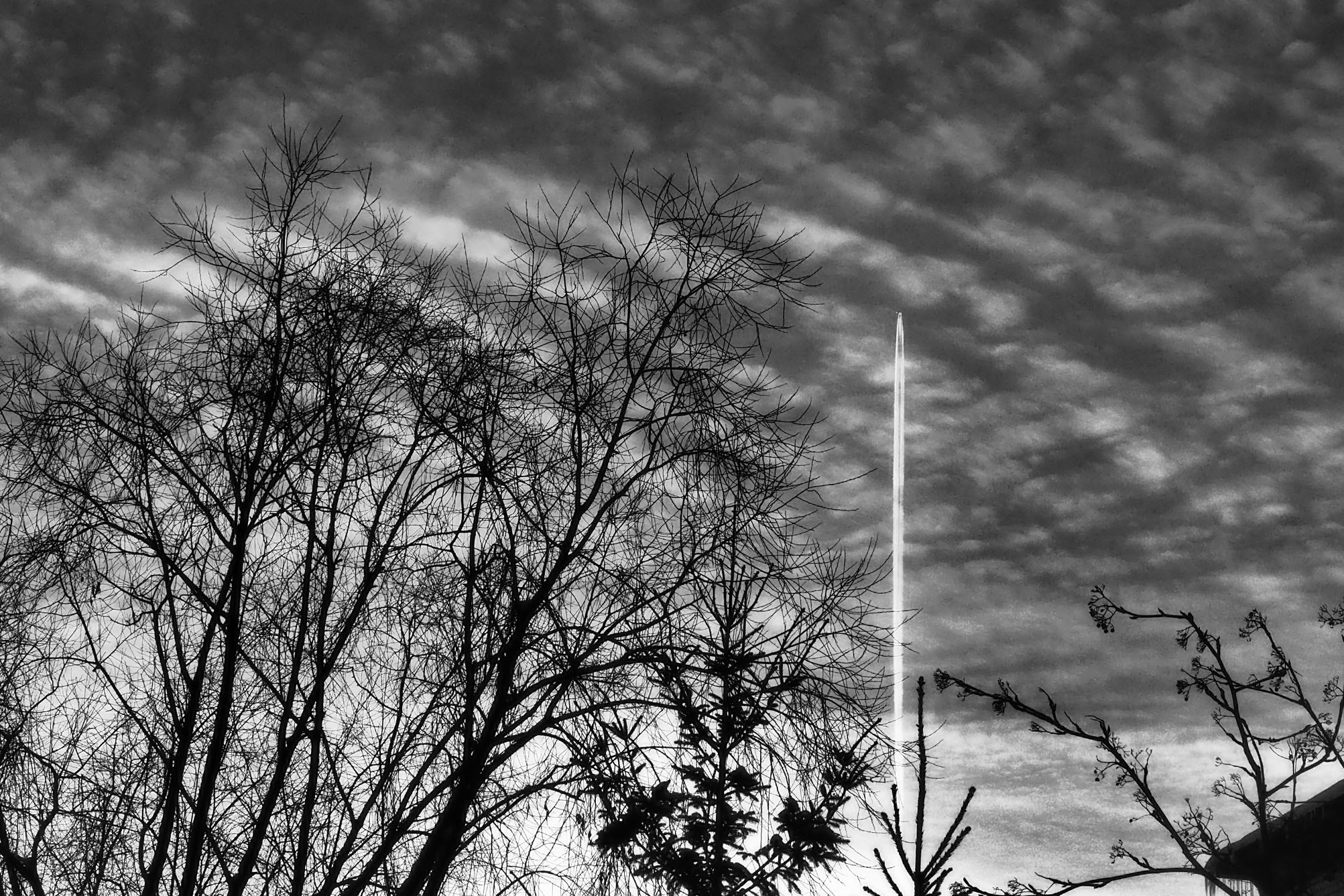 Хулиганизмы. Главная