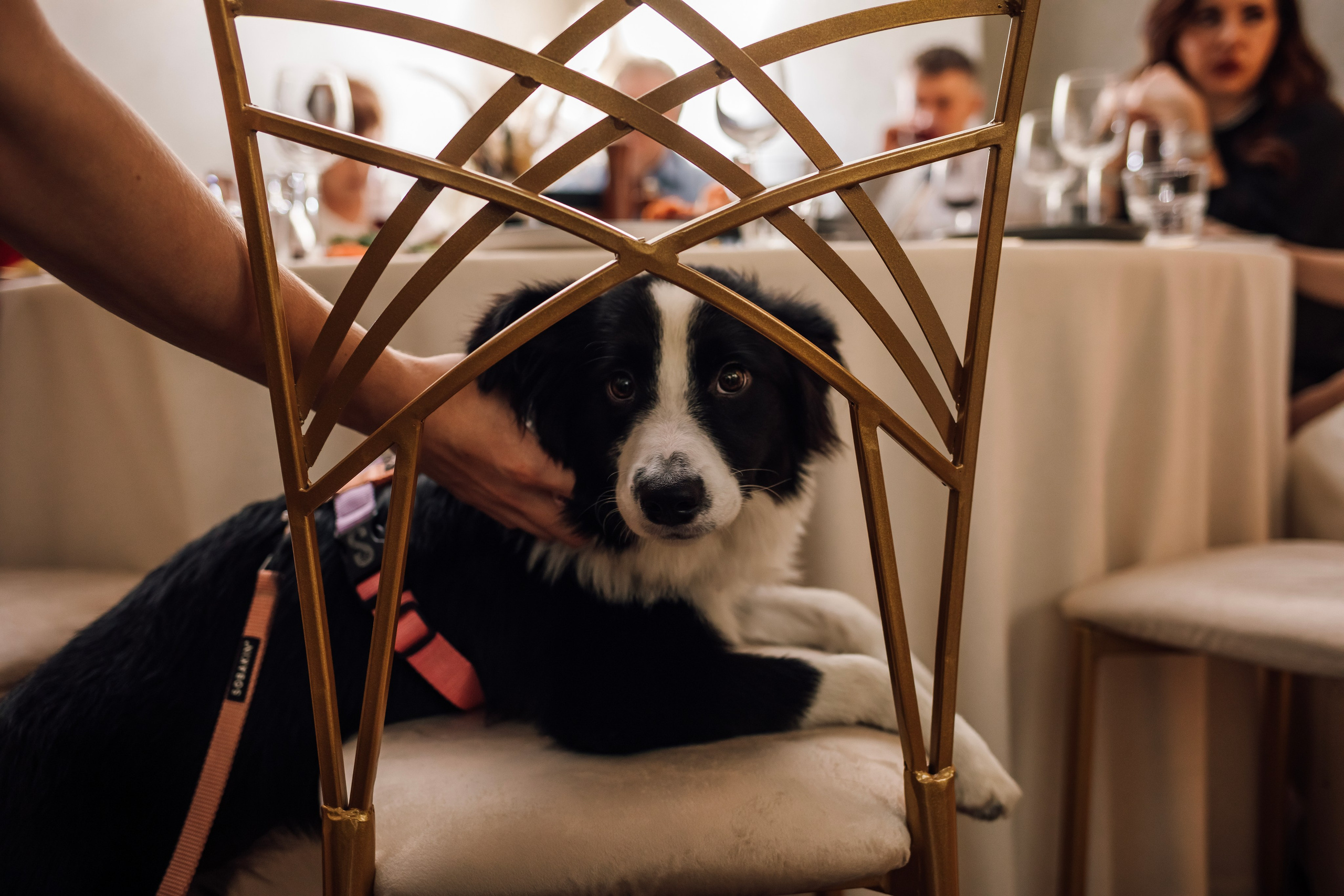 Таня и Миша. Свадьба в лофте. Свадебный и семейный фотограф в Москве Евгения Лисина