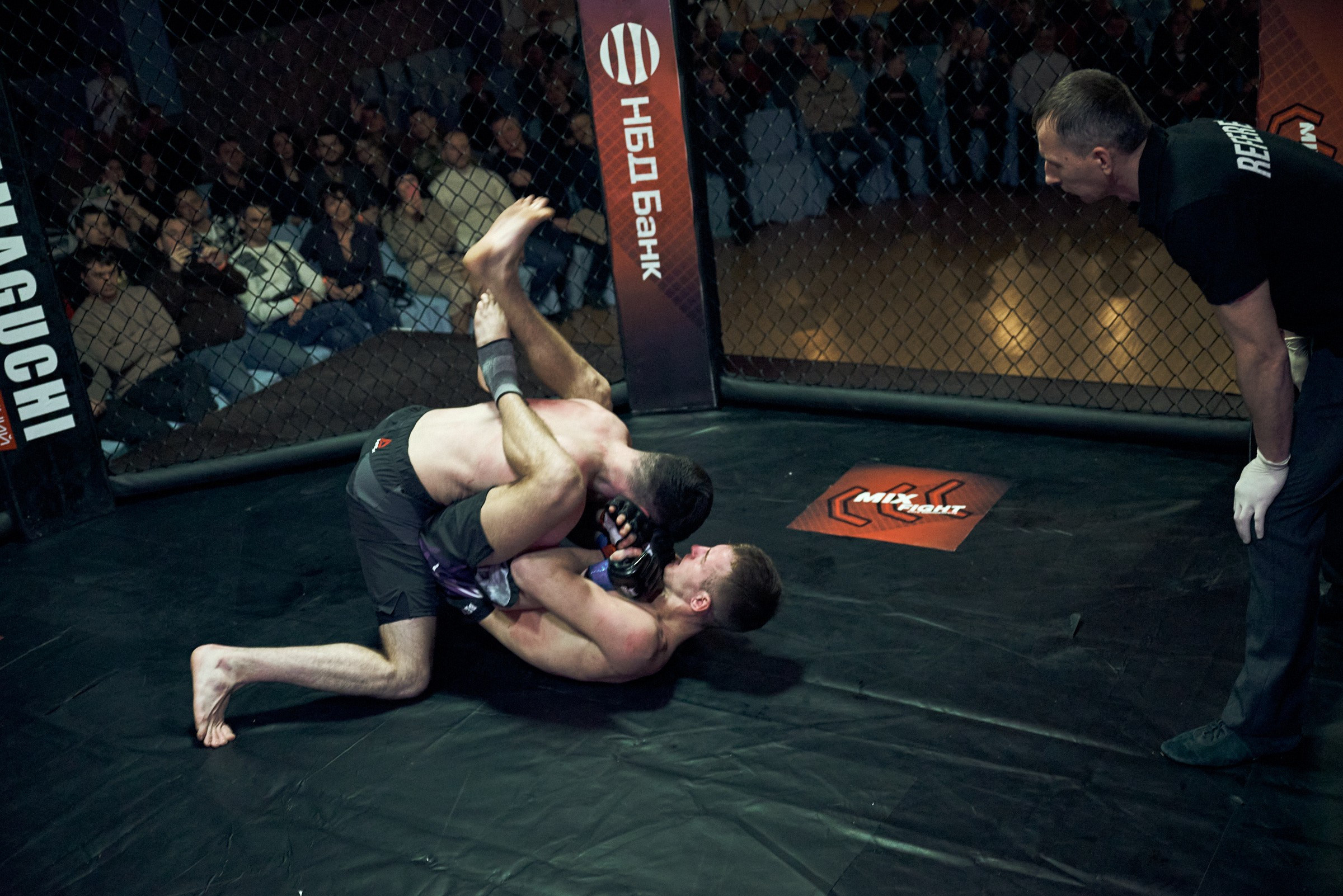 Бои. Маляревич Дмитрий свадебный фотограф