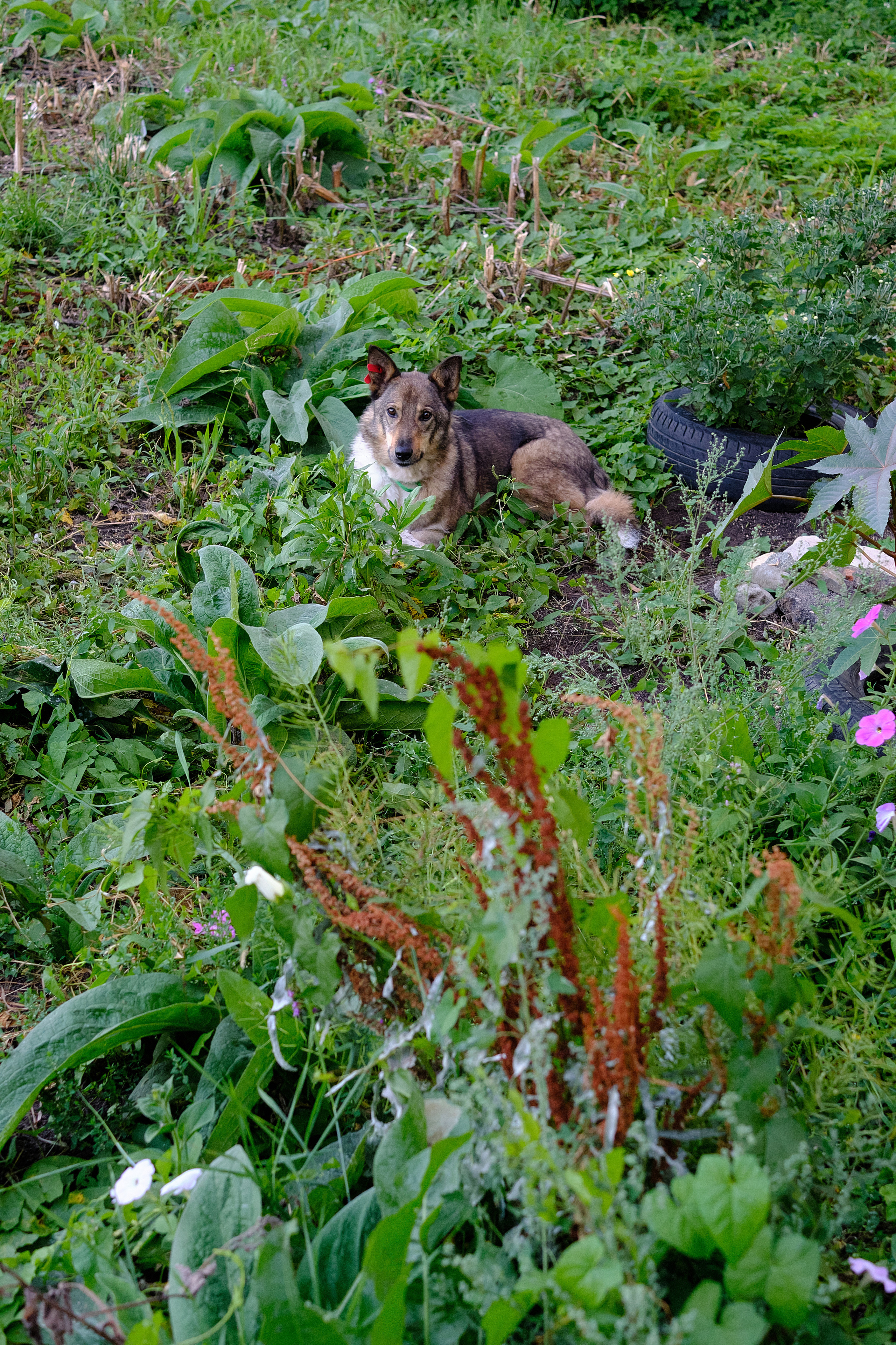 Путешествие в Нижний Новгород с Татьяной Ждановой. Портретный, семейный фотограф в Твери Жданова Татьяна tatzhdanov Таня