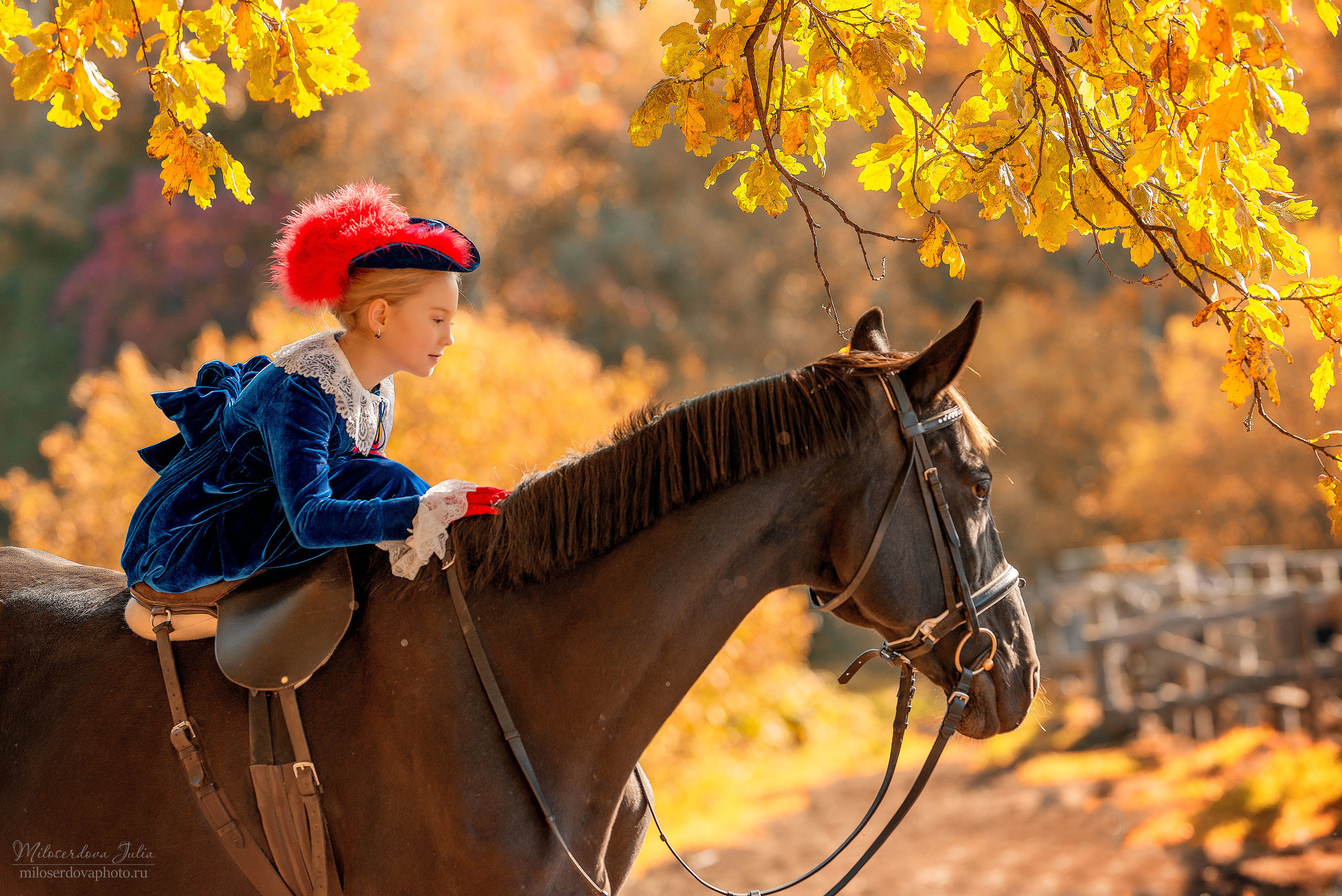Фотограф Юлия Милосердова