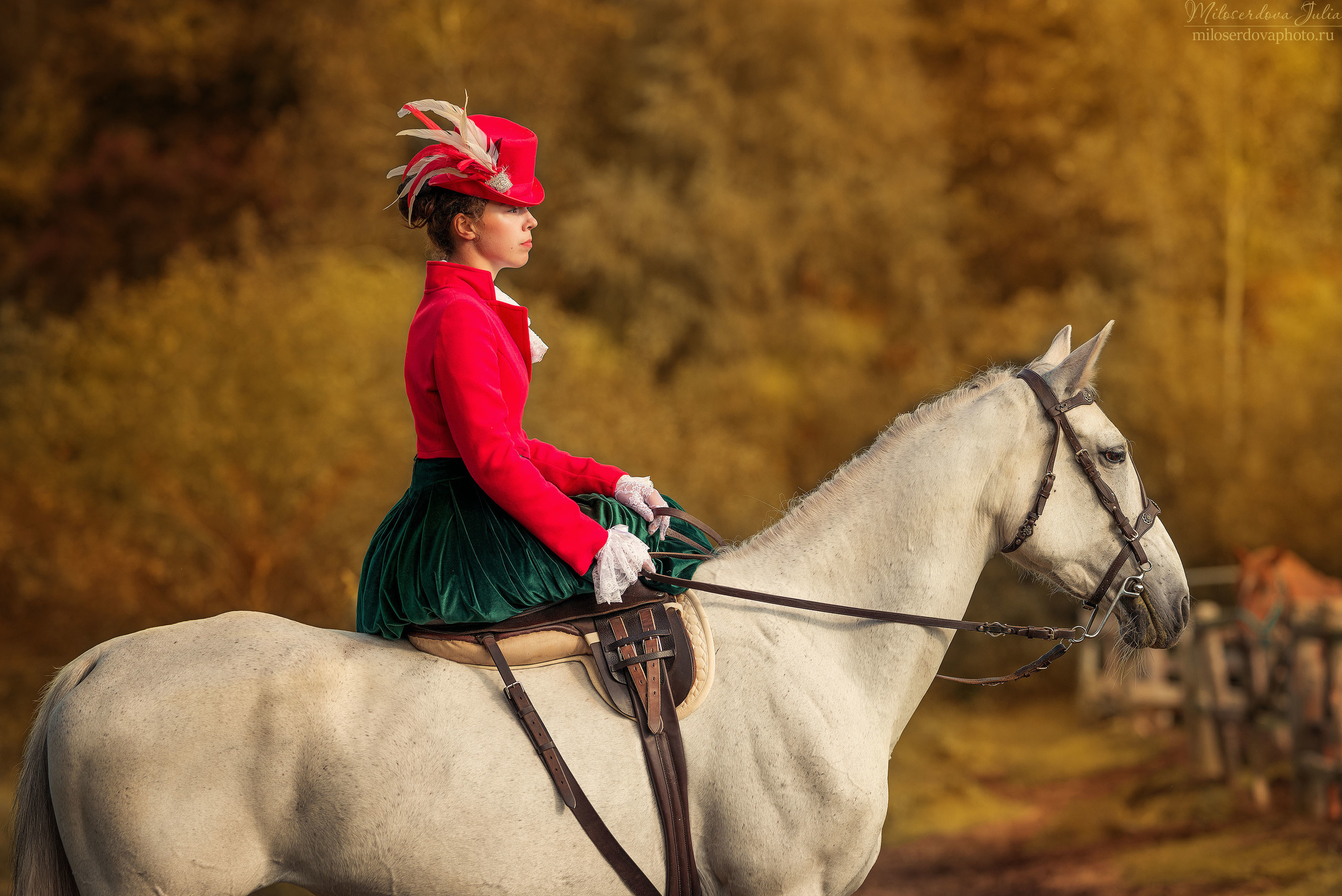 Дамская верховая езда. Фотограф Юлия Милосердова
