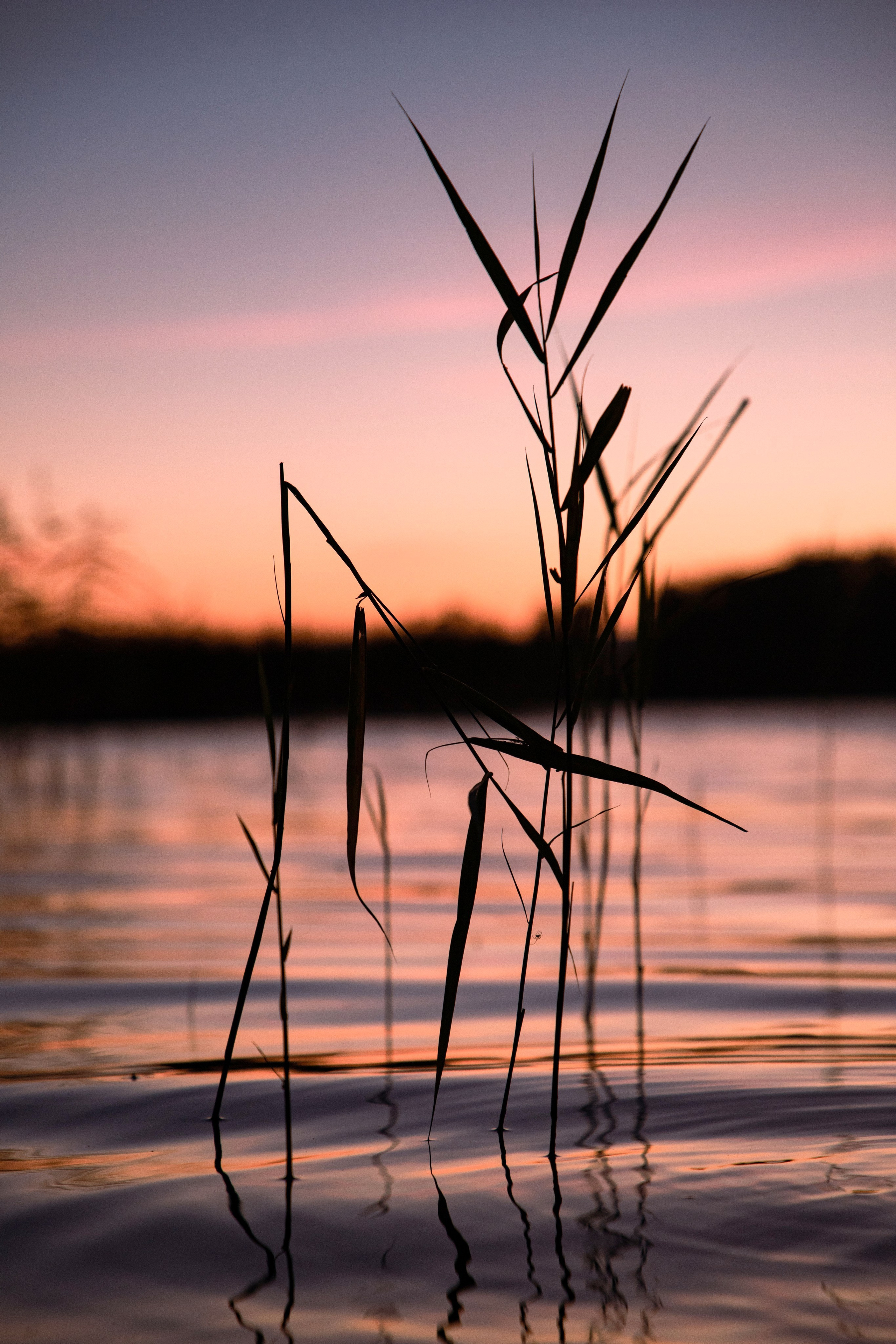 Вуокса. Фотограф Алексей Шуля — портфолио