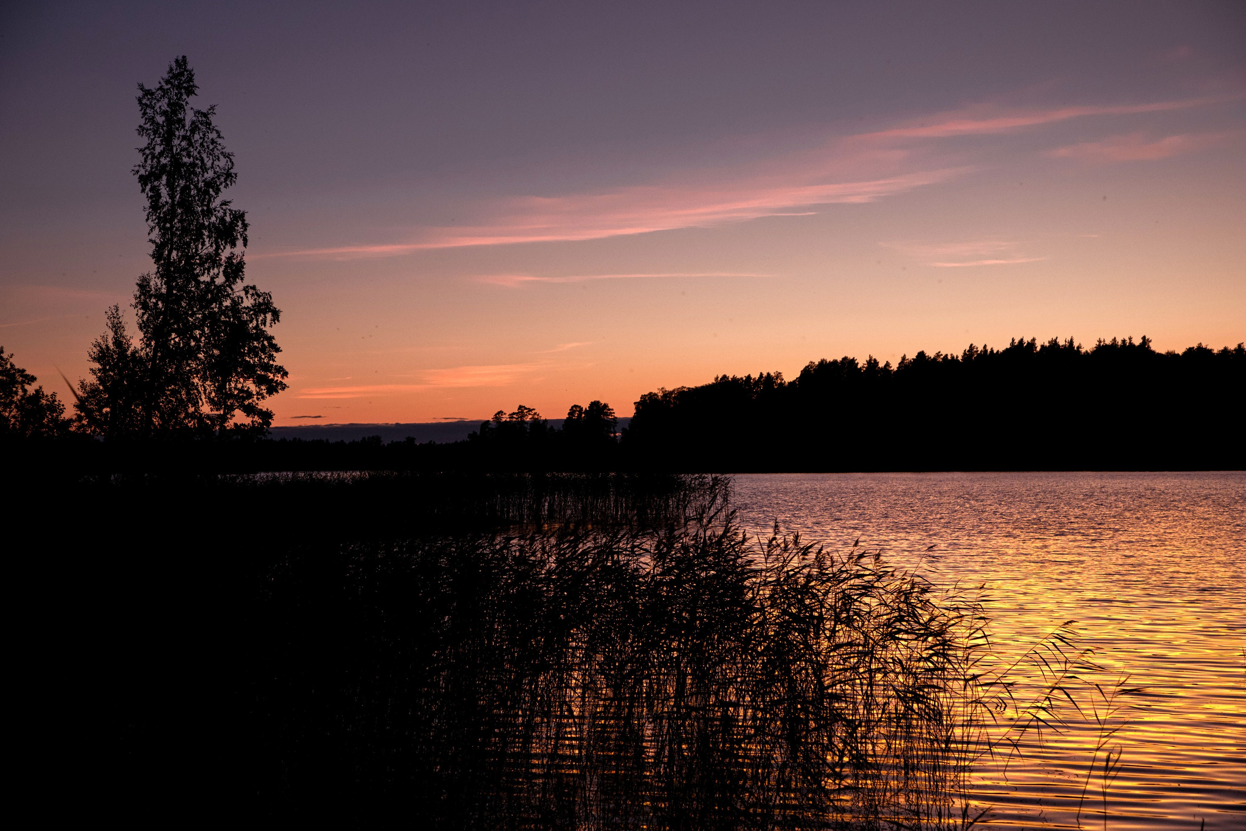 Вуокса. Фотограф Алексей Шуля — портфолио