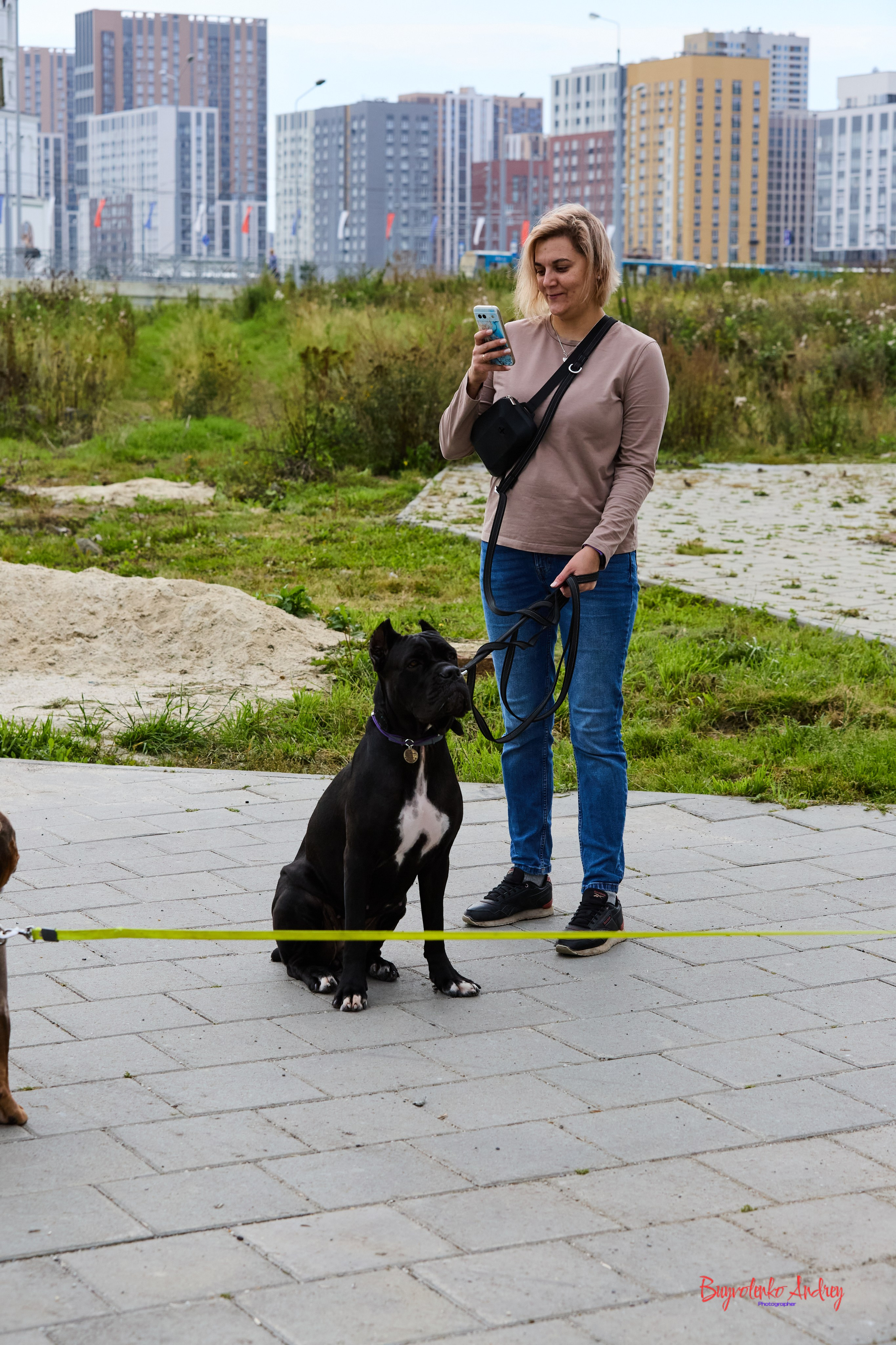 Проект фотопрогулка с хвостиком. Buyvolenko Andrey