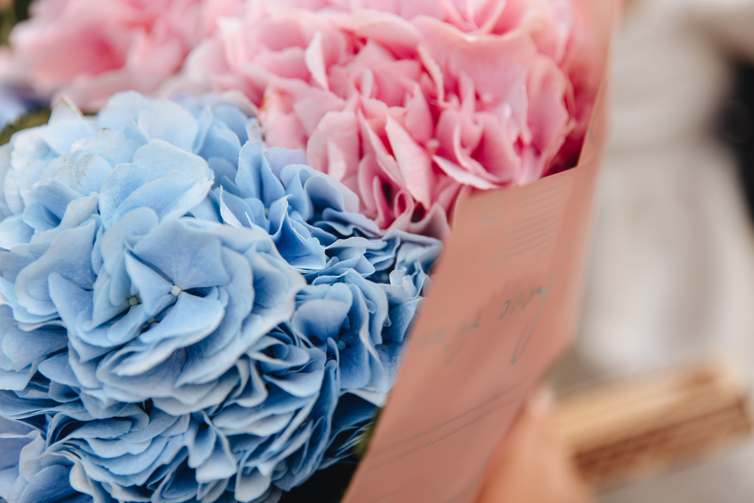 Рома и Лера. Свадебный и семейный фотограф в Туле и области Маша Костина