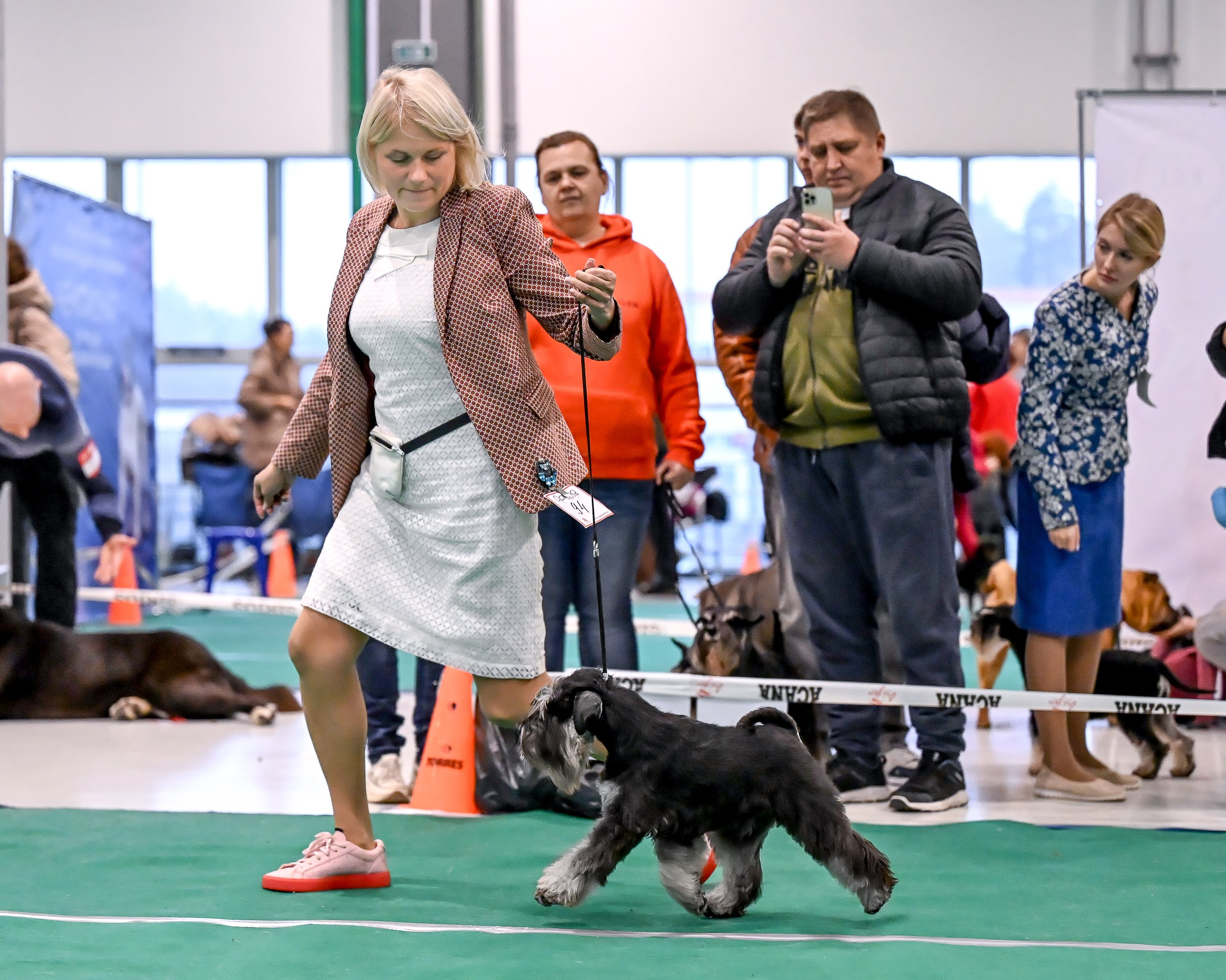 Delinso Balance Chivas Regal (Li Mu Zi Chinese Dragon x Delinso Balance Onyrico Tahoe)