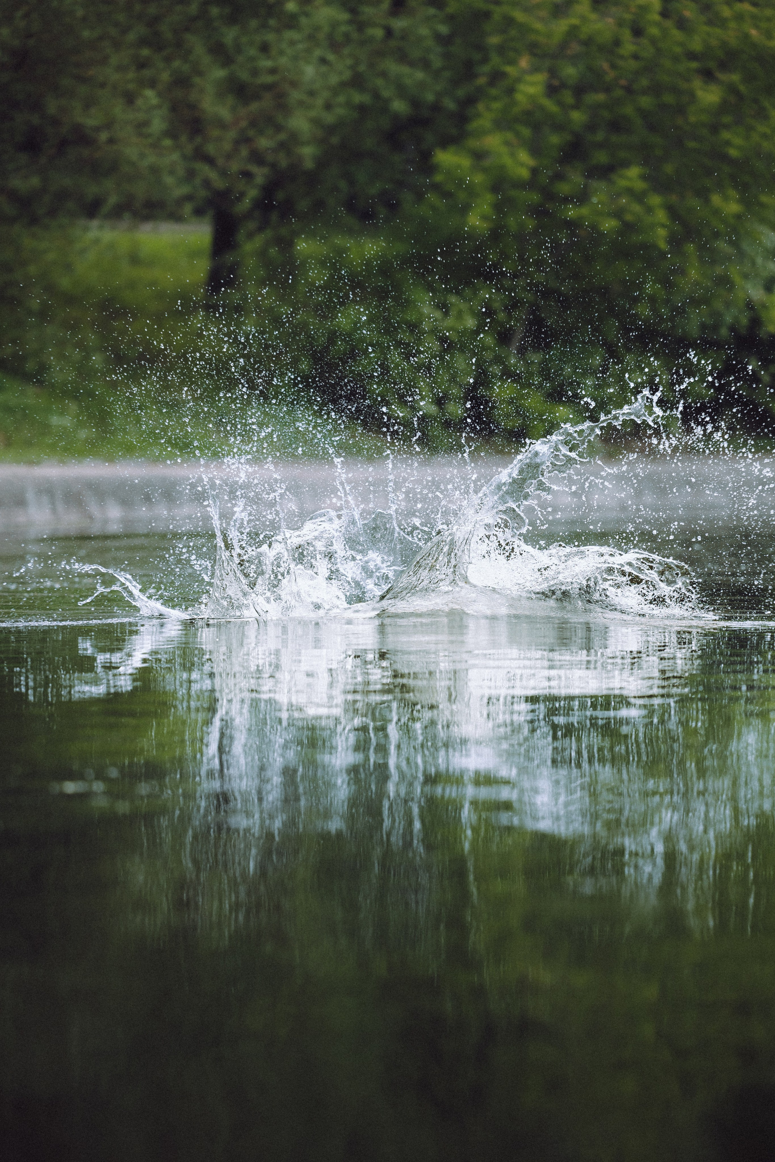 Паша, Хайди и Тея