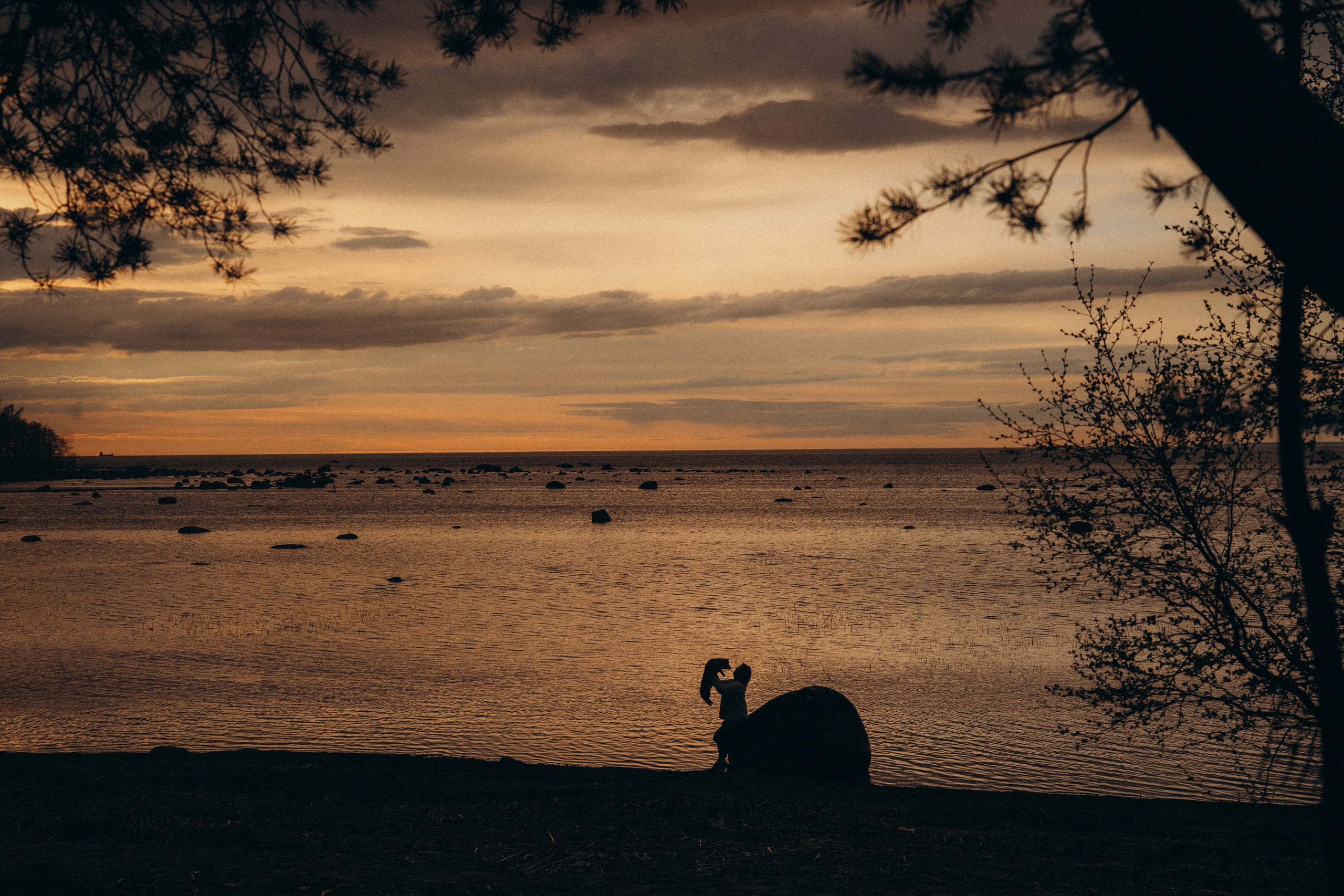 Катя и Берта. Фотограф анималист в Москве и Санкт-Петербурге Свиридова Анна