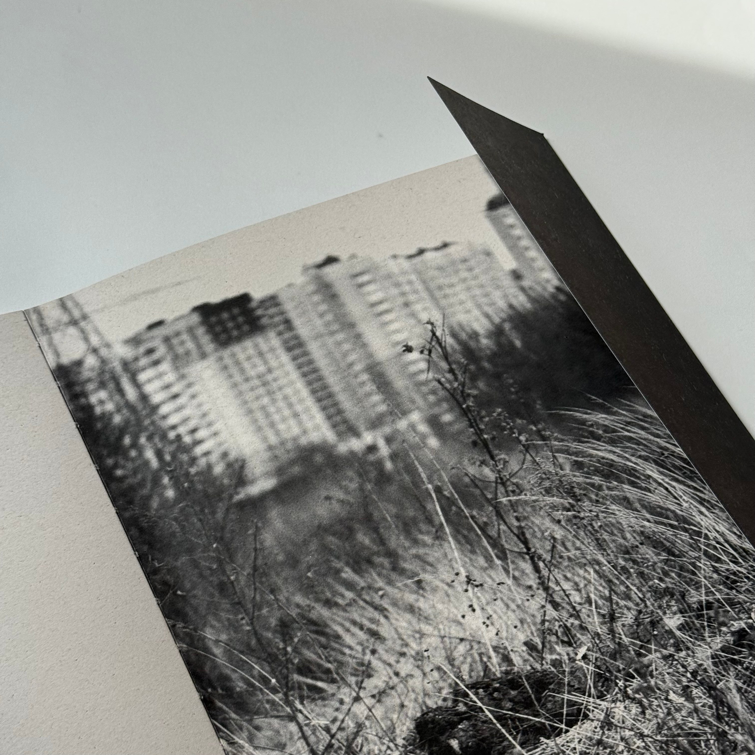 Фотокнижная библиотека Инны Шиловской. Фотограф и исследователь фотографии из Санкт-Петербурга Елизавета Веприцкая