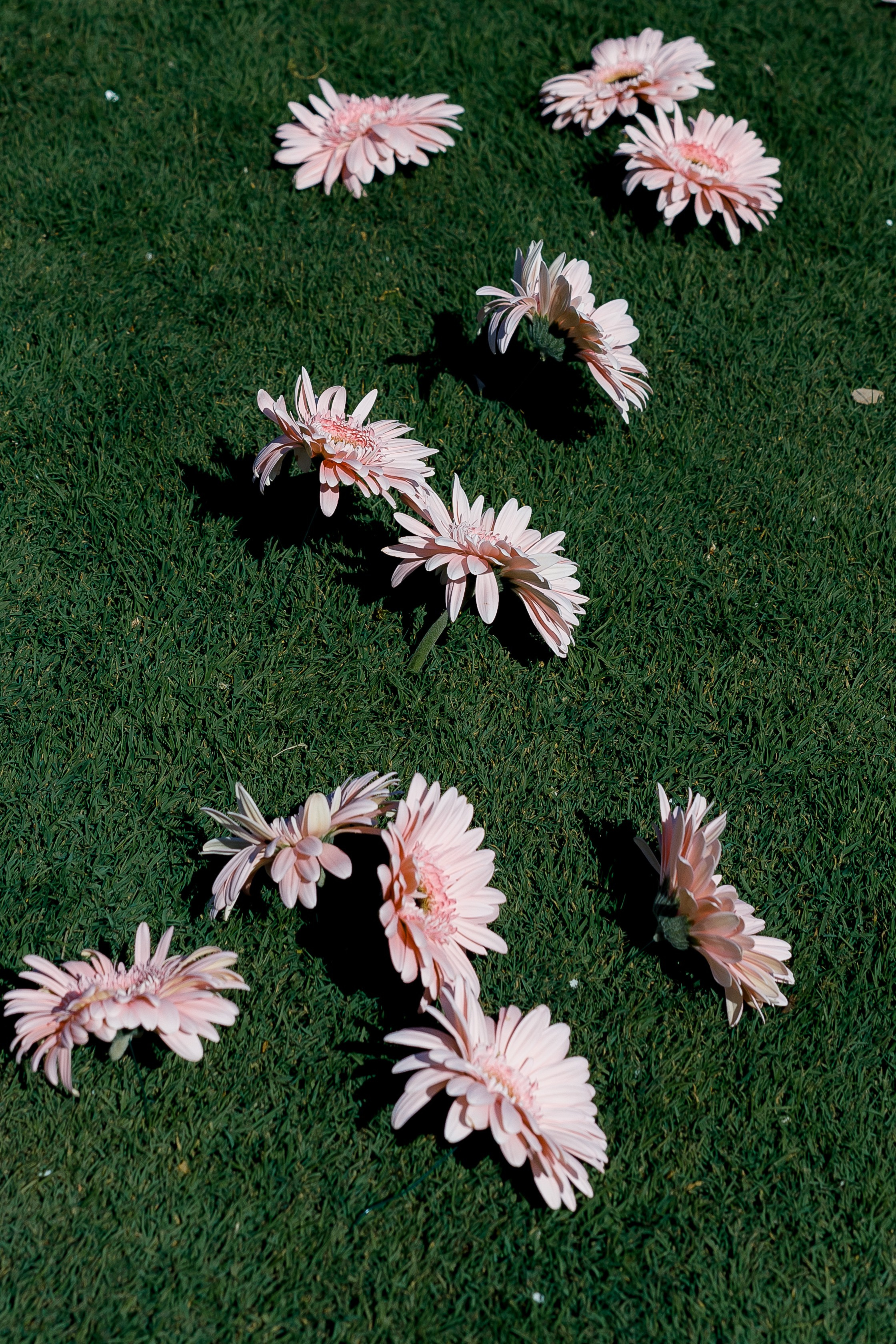 ГОЛЬФ РЕЗОРТ