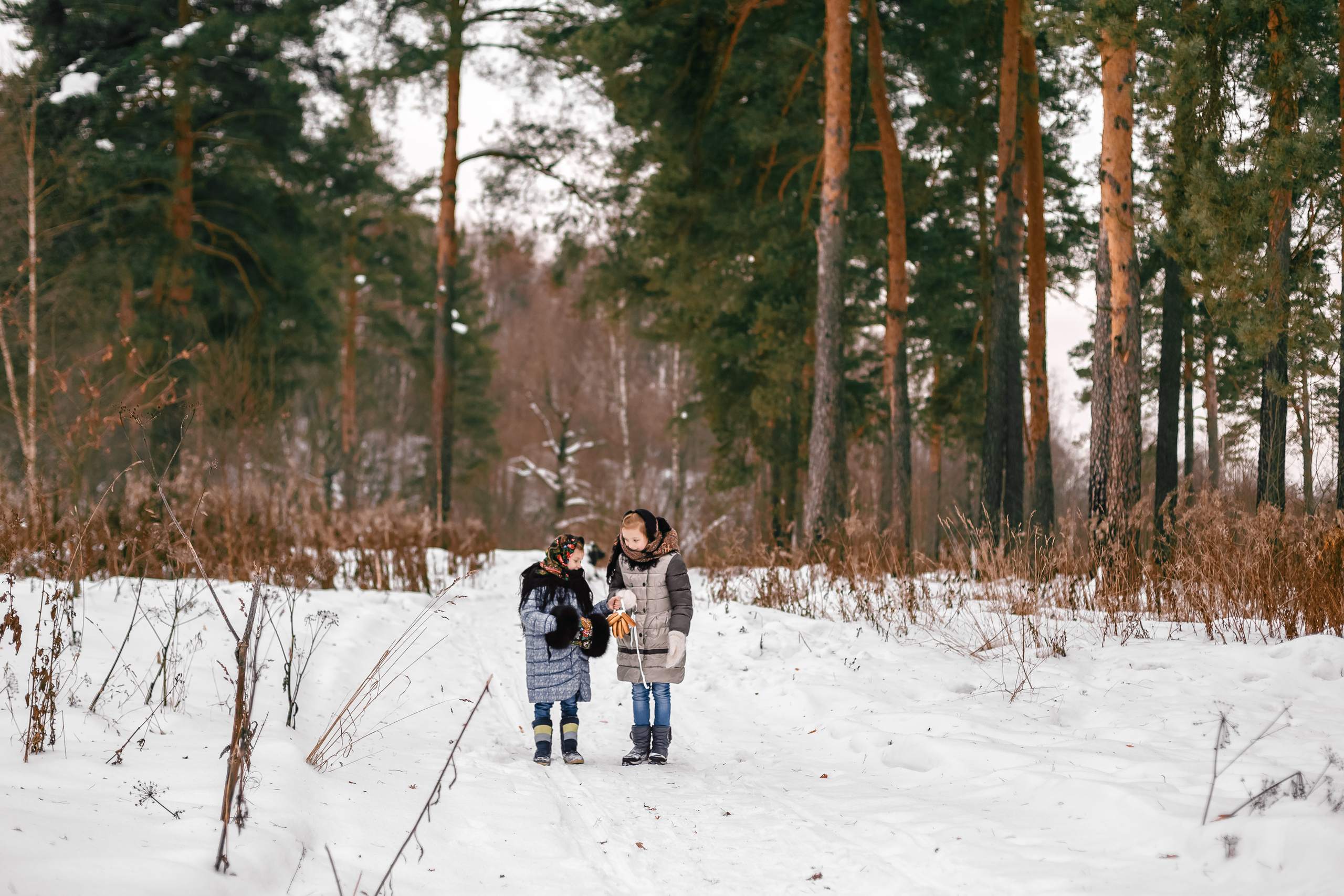Семейная фотосессия зимой на природе