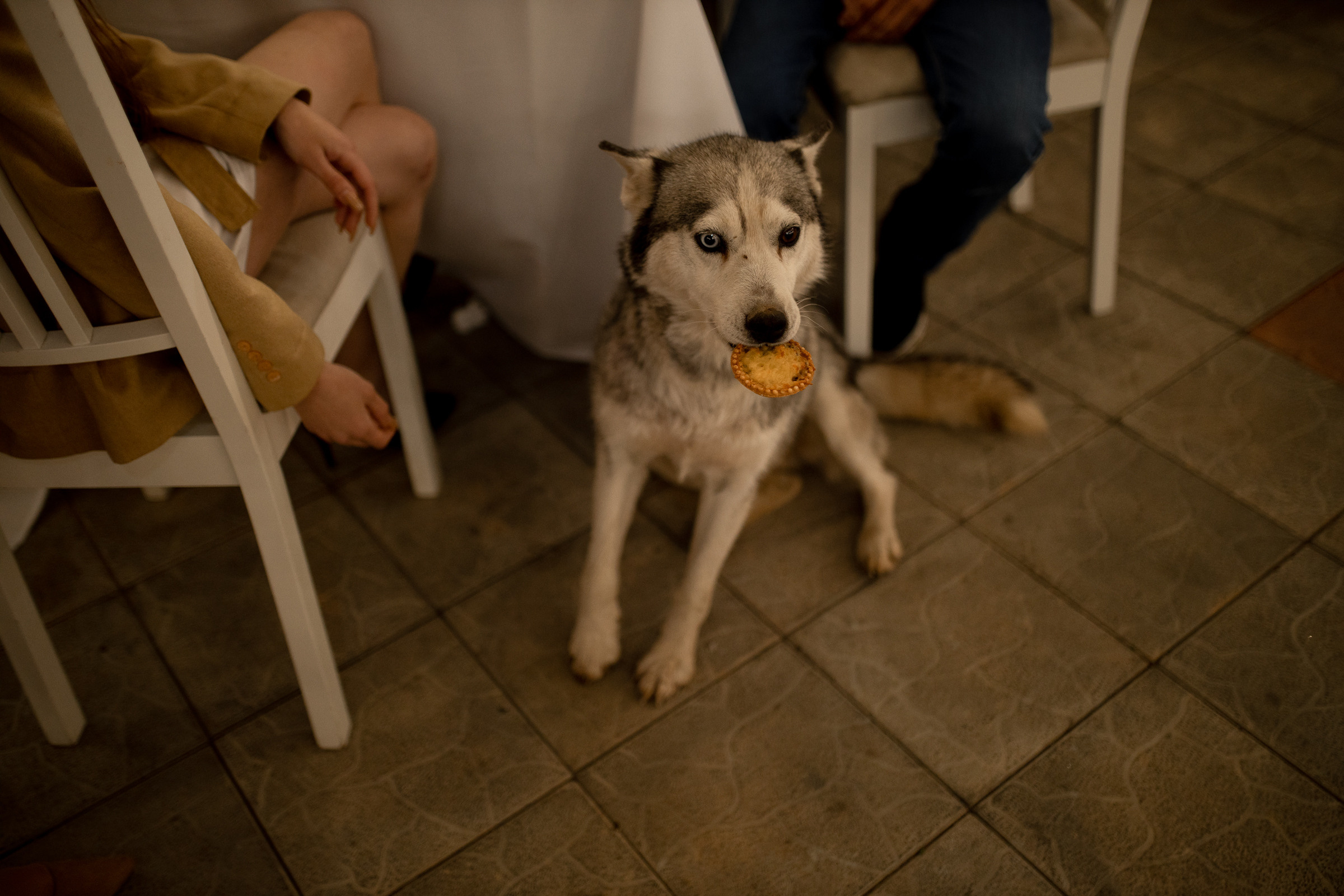 A & J (Вечер). Свадебный и семейный фотограф Анжелика Альашкар в Казани Татарстан