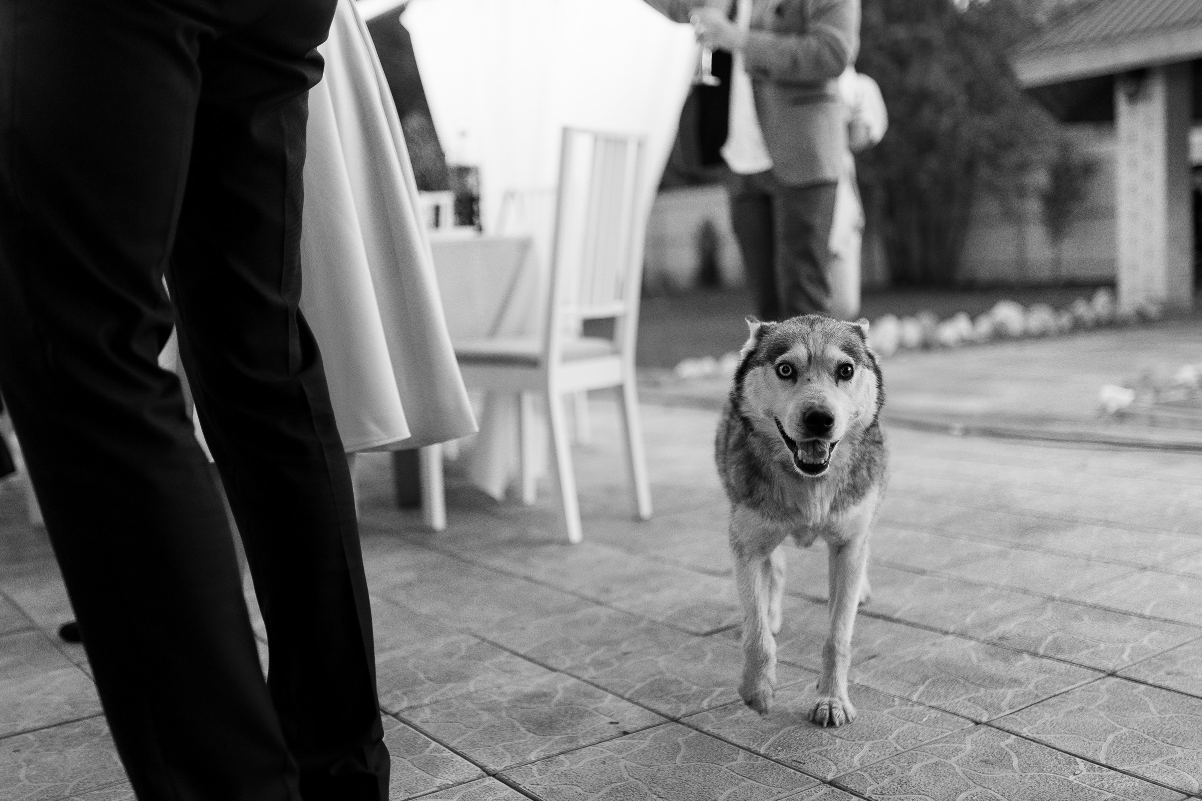 A & J (Вечер). Свадебный и семейный фотограф Анжелика Альашкар в Казани Татарстан