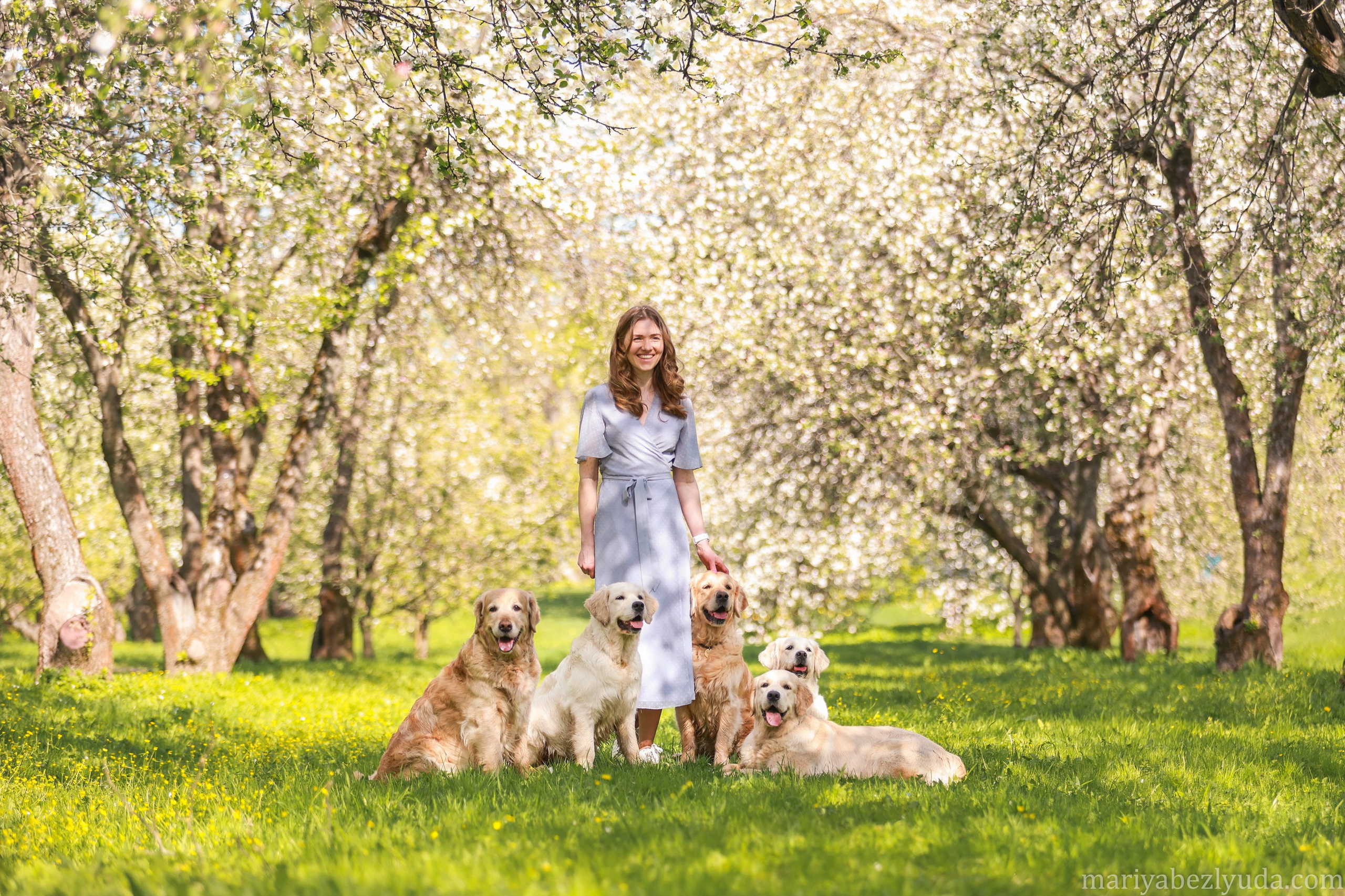 Собаки и их люди❤️. Семейный и детский фотограф в Москве Мария Быкова