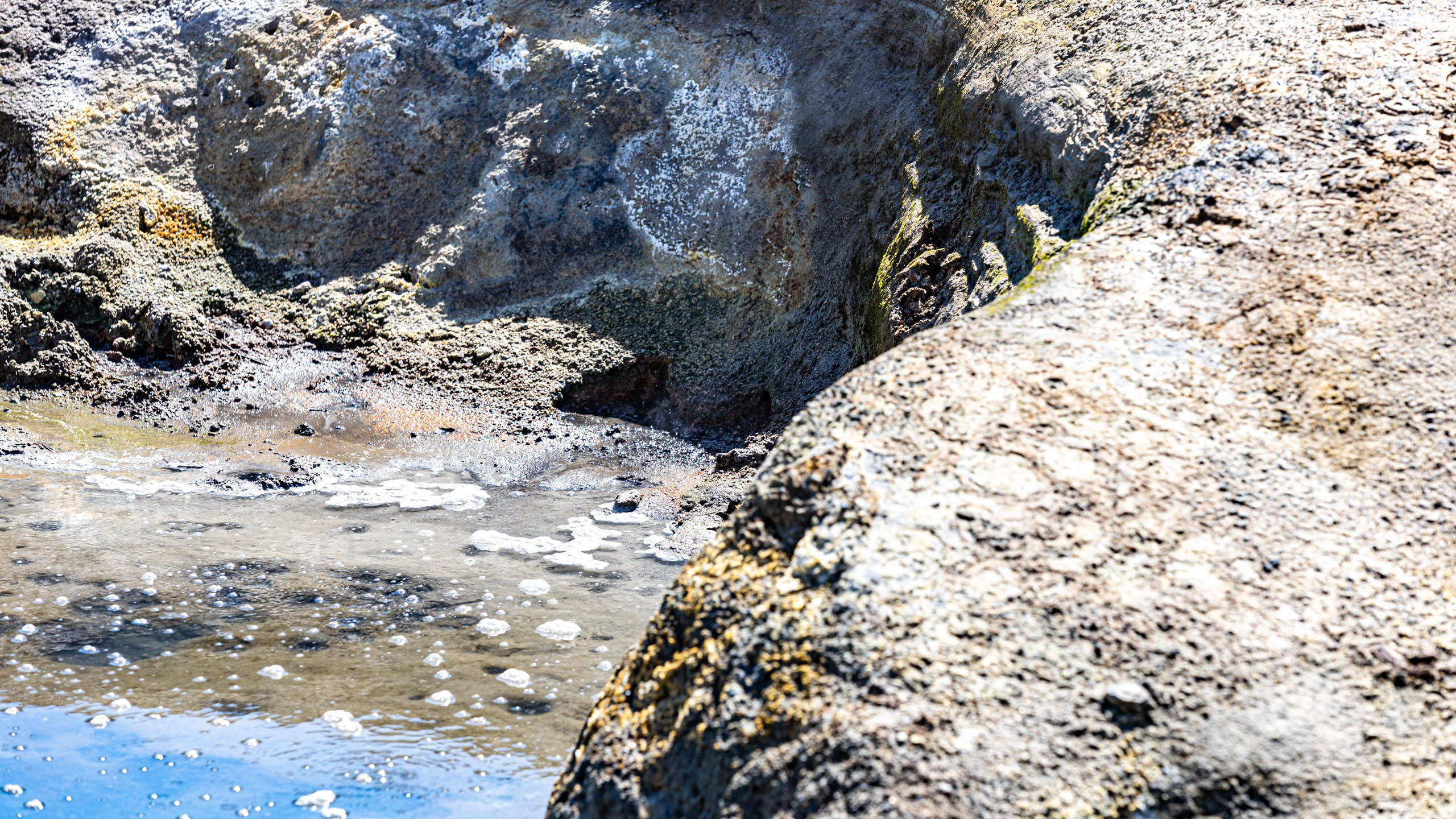 2023 07 Камчатка. Фотографии