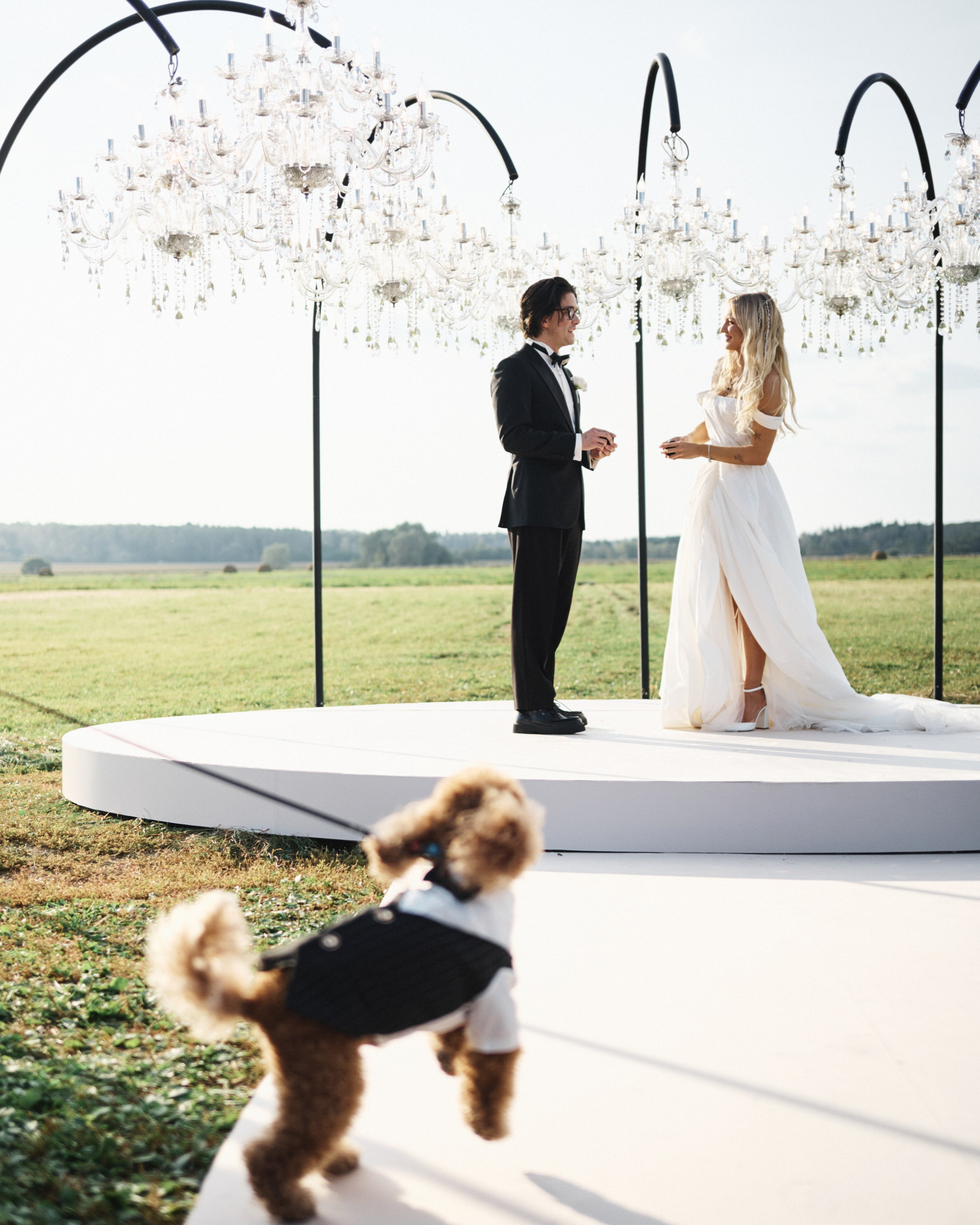 Mary Gu & Toli Wildways. VENSKAYA WEDDING & EVENT PLANNER