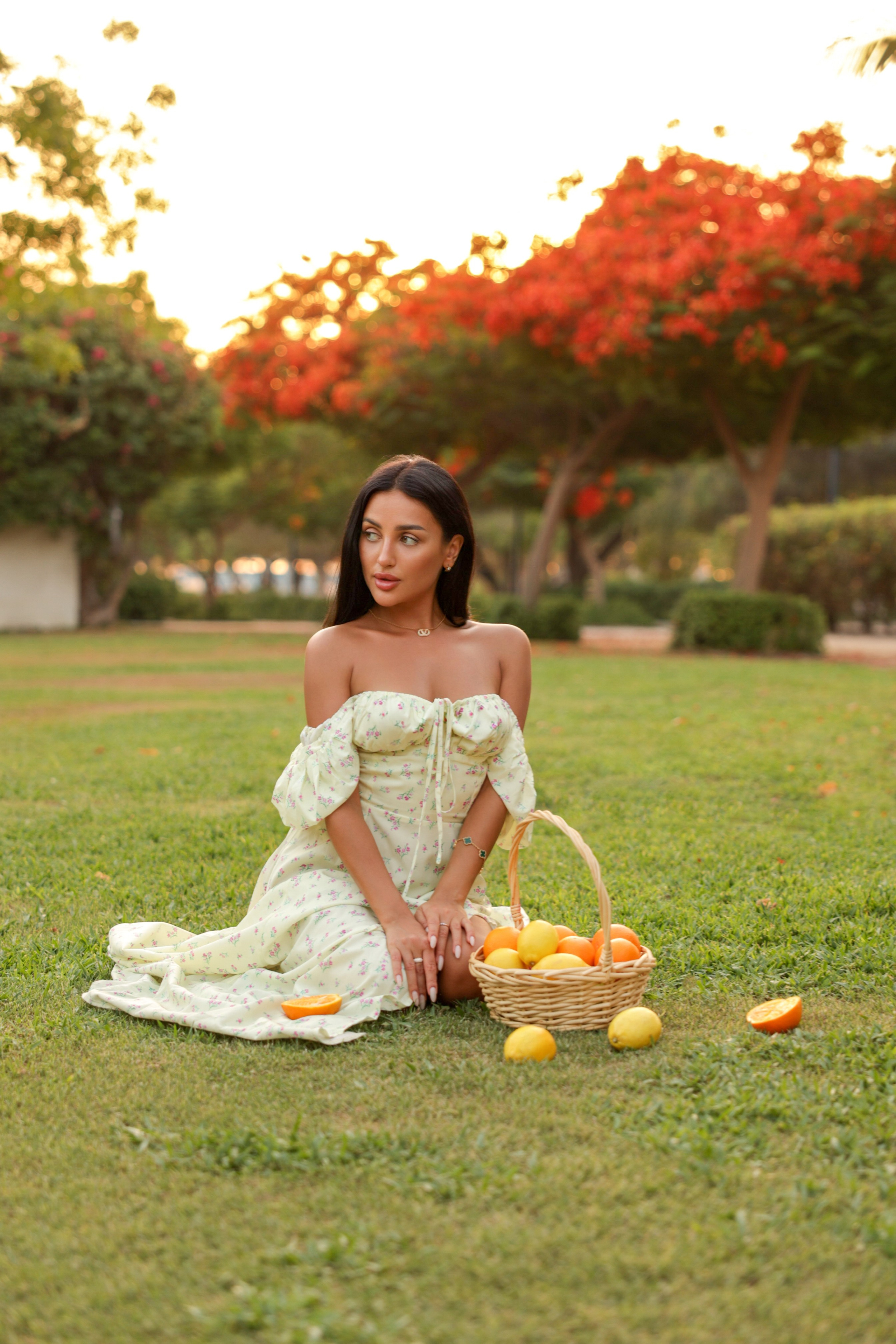 Picnic. Maria Veber Portrait and Boudoir Photographer