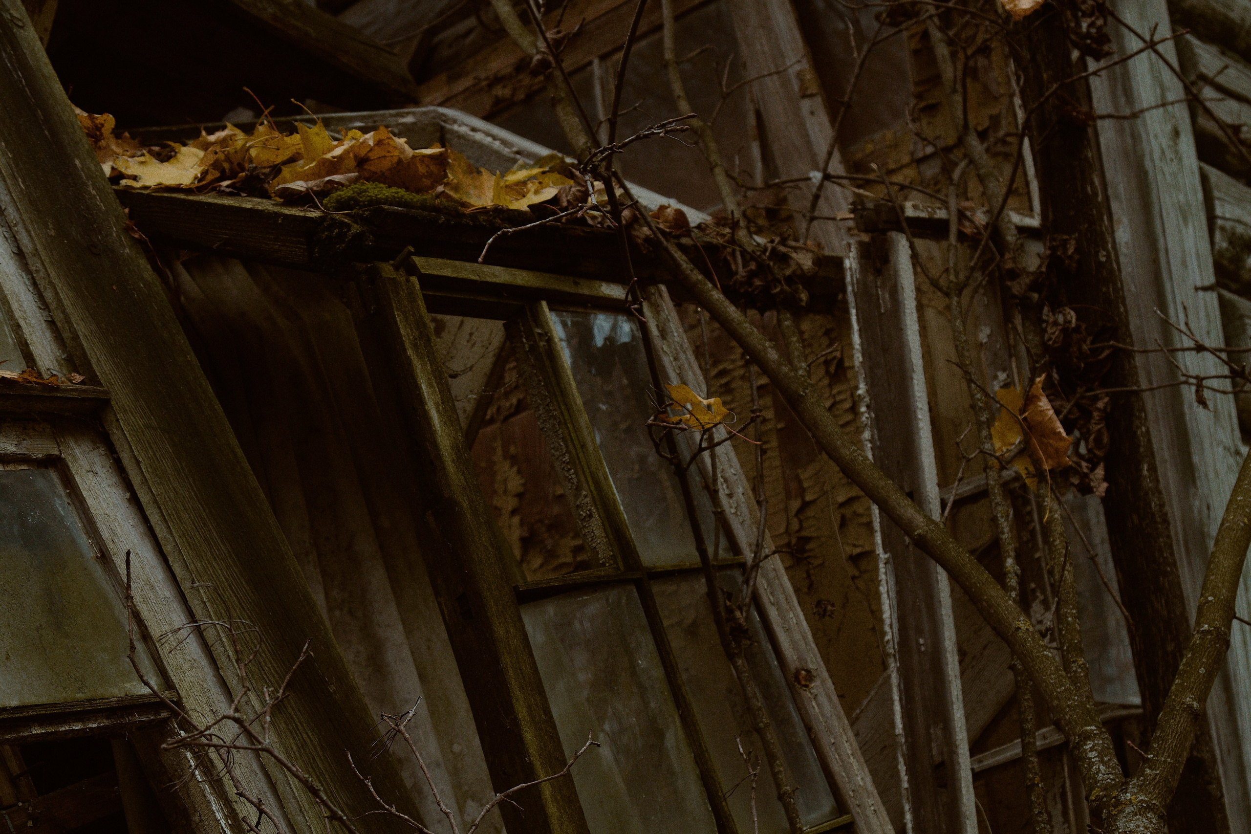 Русская сказка. Фотограф лавстори Москва/МО Приятелева Ангелина